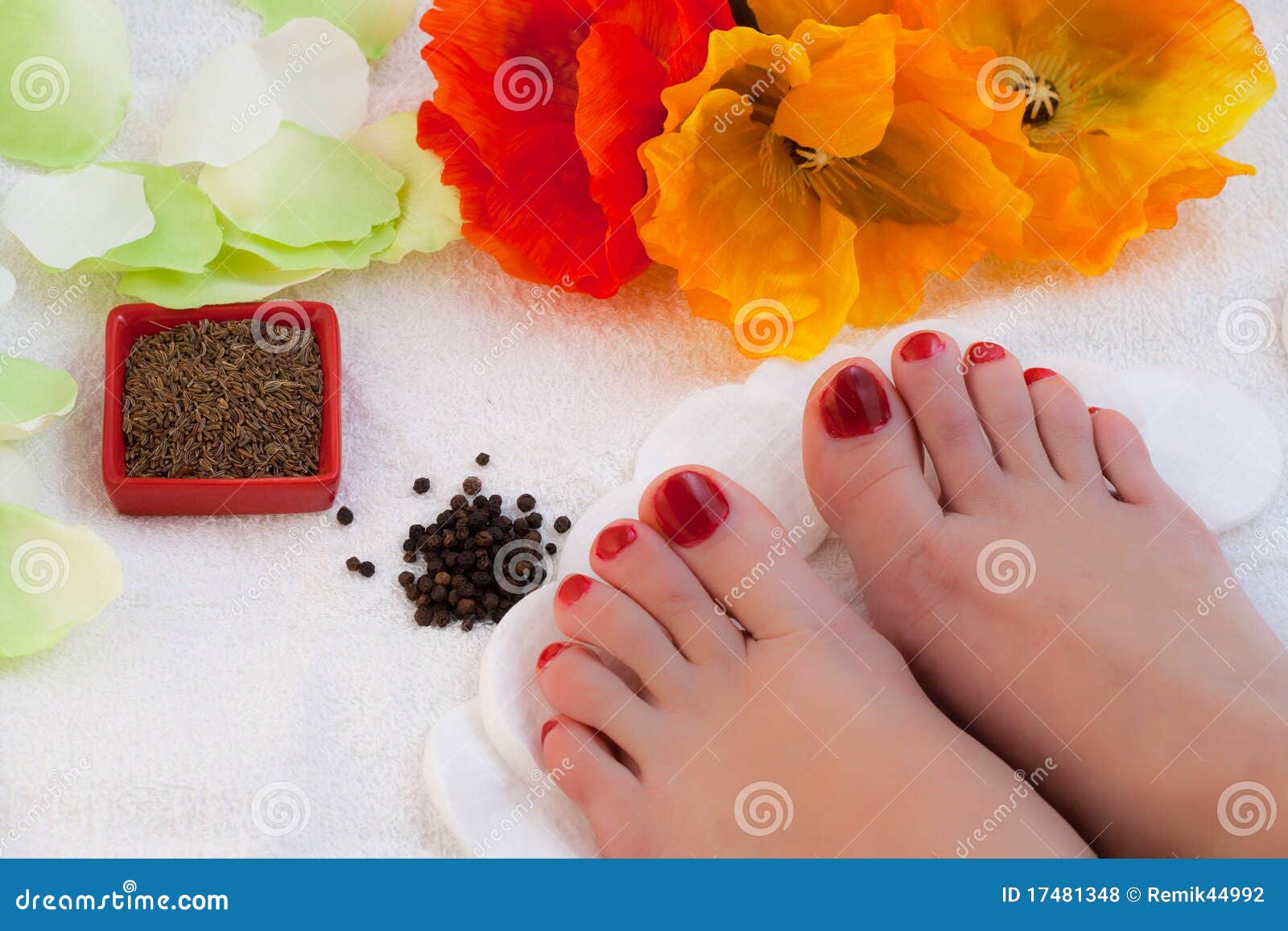 Feet spa stock photo. Image of manicure, hygiene, female 17481348