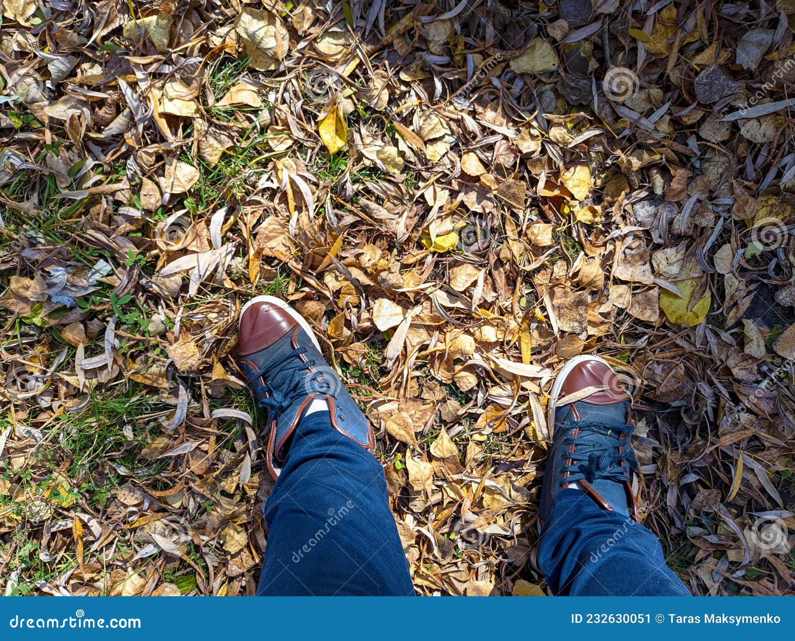 shoes and autumn leaves