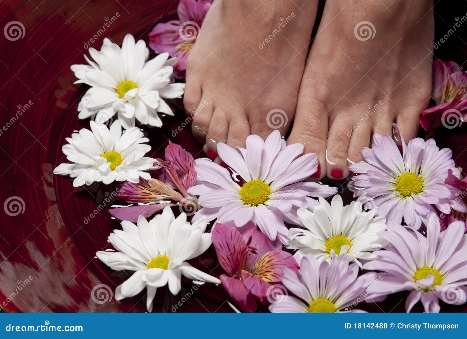 Feet in water with flowers stock photo. Image of healthy 18142480