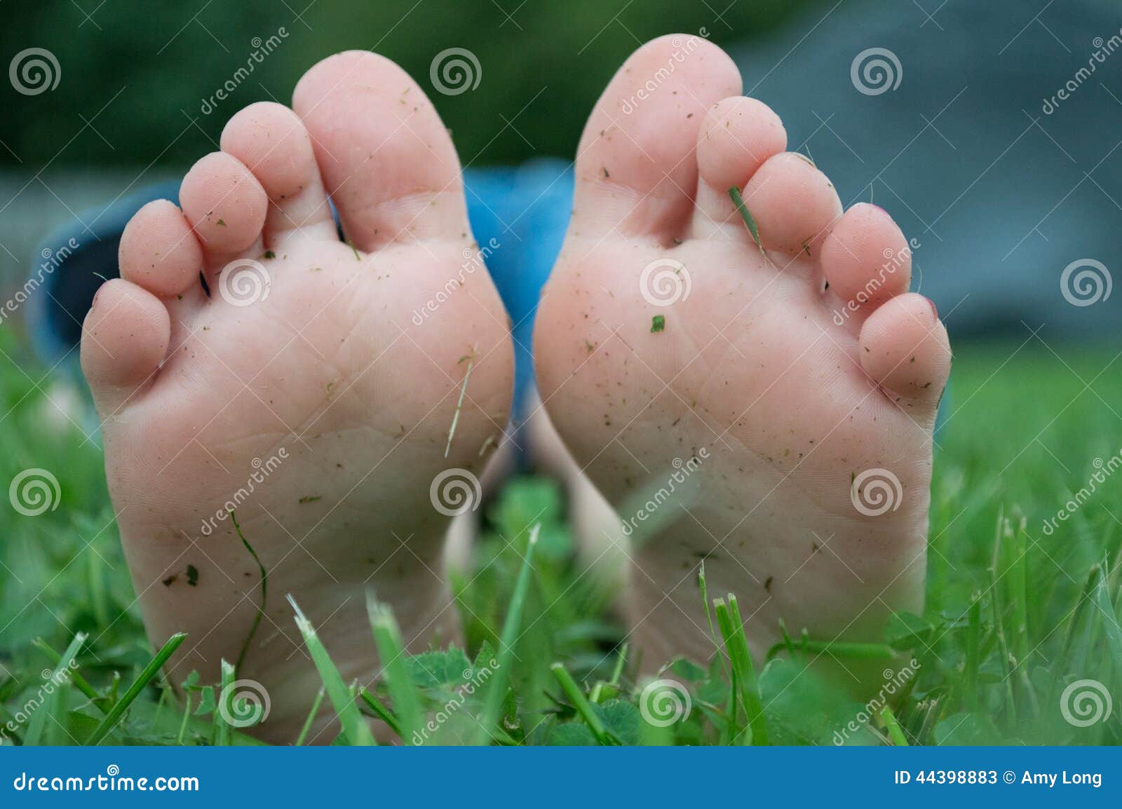 Feet Stock Photo Image 44398883
