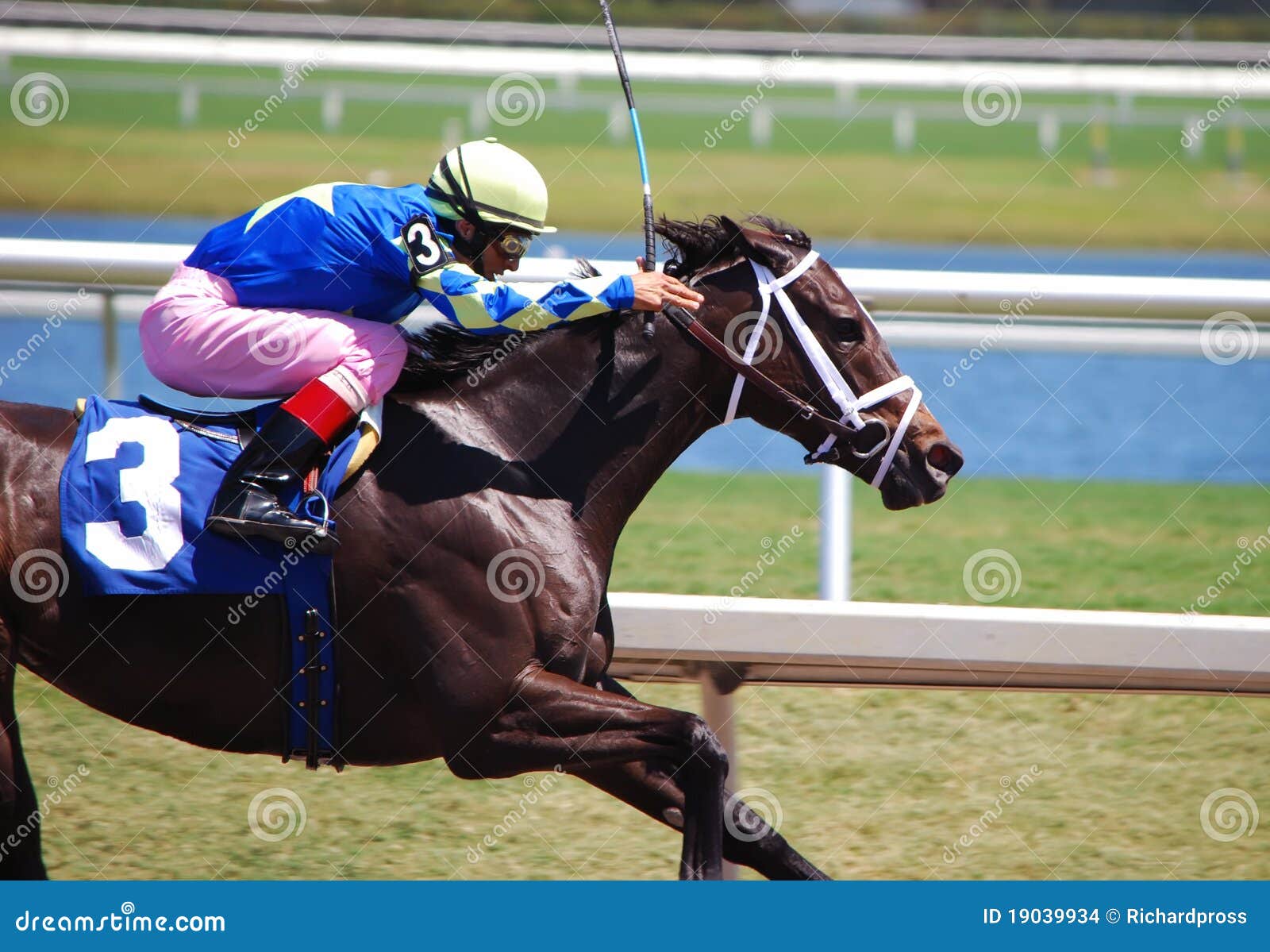 Feiertags-Aufflackern. Drei Einjahresfillie Sieger des dritten Rennens auf der Karte am Gulfstream Park, ein Genehmigungsrennen mit sechs Achtelmeilen für die Stutenfohlen am 2. April 2011 angehalten