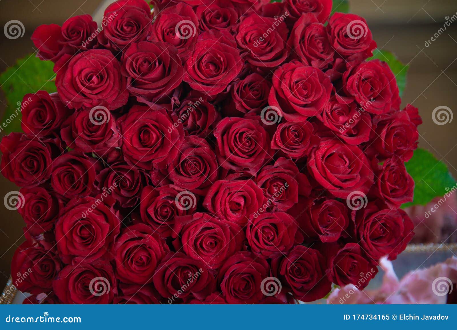 Feliz Día De La Mujer. Ramo De Rosas Rojas Naturales Para Regalo Imagen de  archivo - Imagen de decorativo, color: 174734165