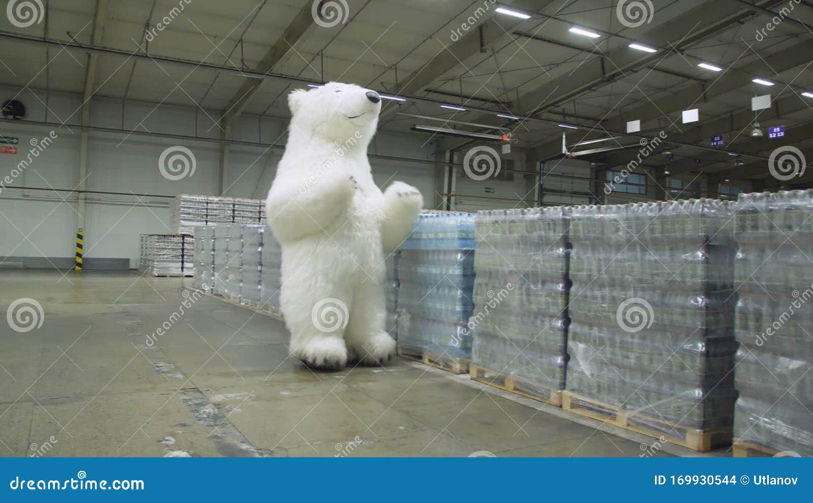 URSO DO PÓ BRANCO: Saiba quando lança o filme do urso que comeu