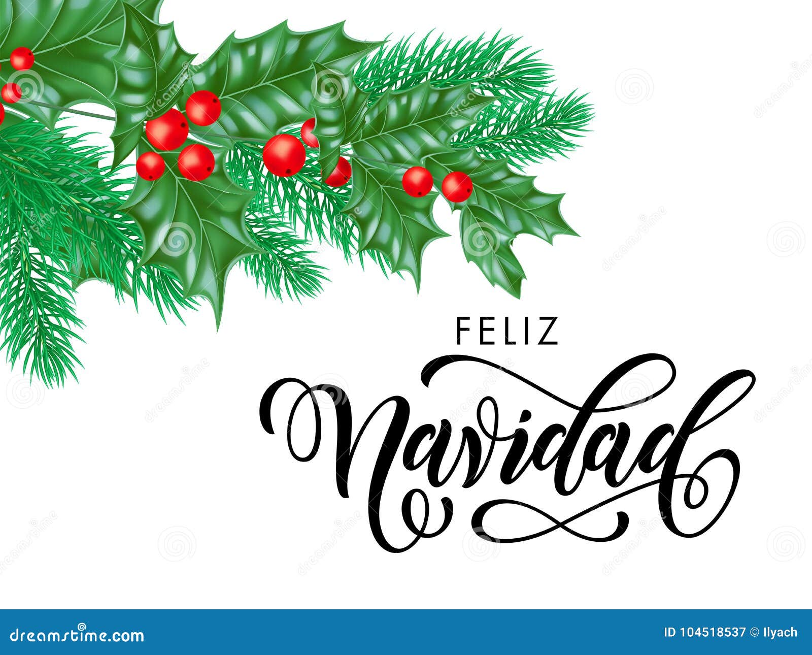 Feliz Navidad Spanish Merry Christmas hand drawn calligraphy in holly wreath decoration and Christmas tree fir