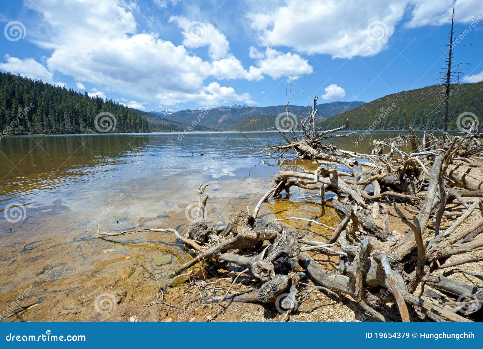 felled trees in front of national lake pudacuo