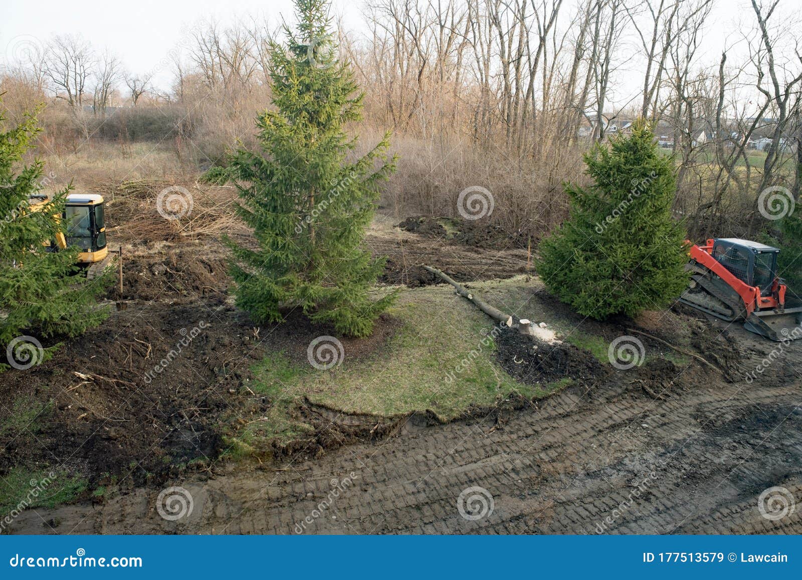 felling trees during land excavation