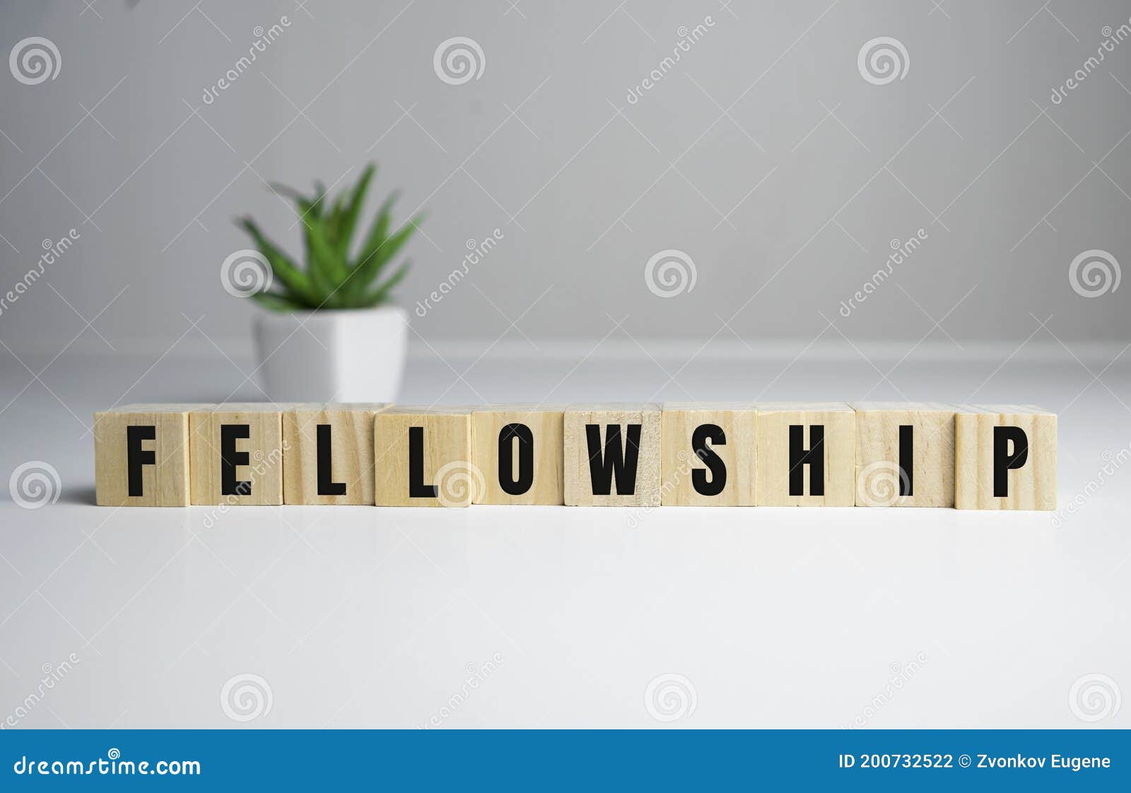 fellowship concept - fellowship word on wooden cubes