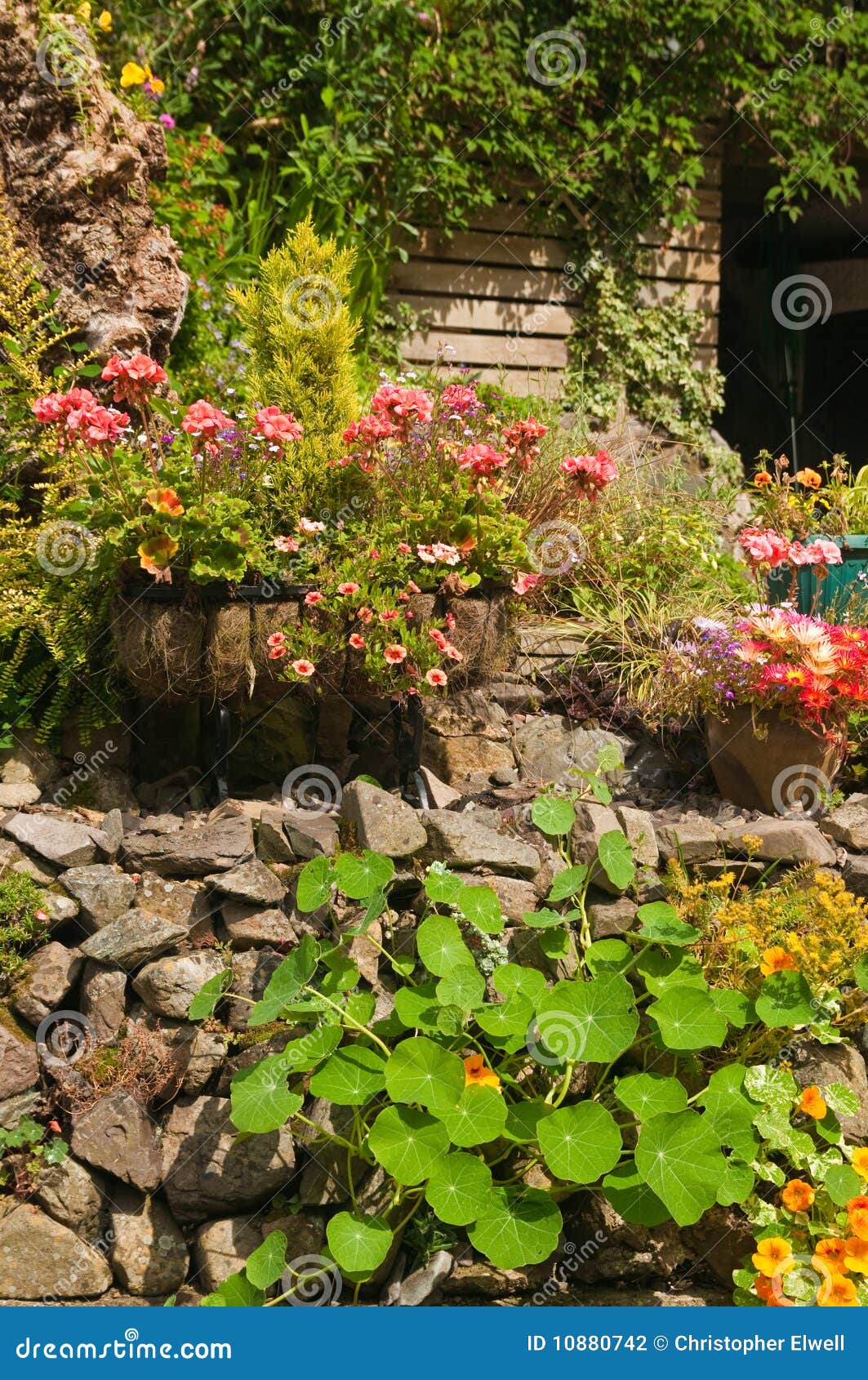 FelsenGarten stockfoto. Bild von überwuchert, national