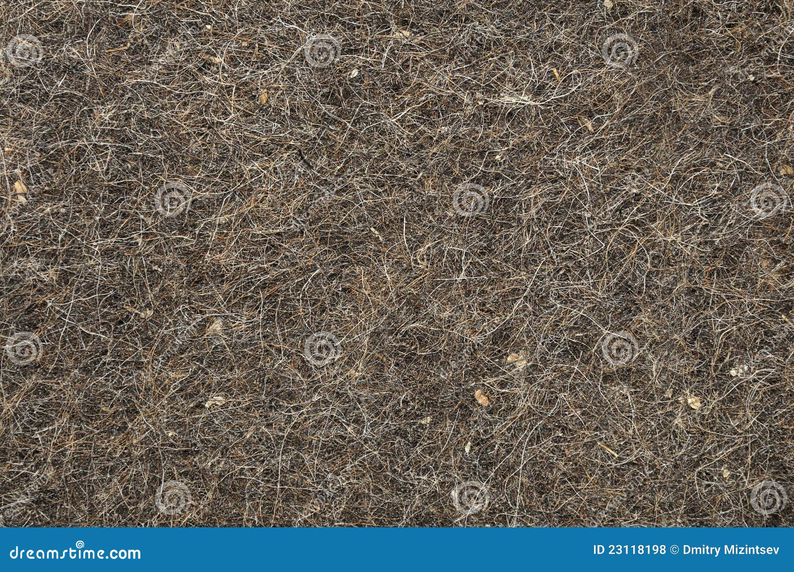 Felt texture stock photo. Image of hair, smooth, surface 23118198