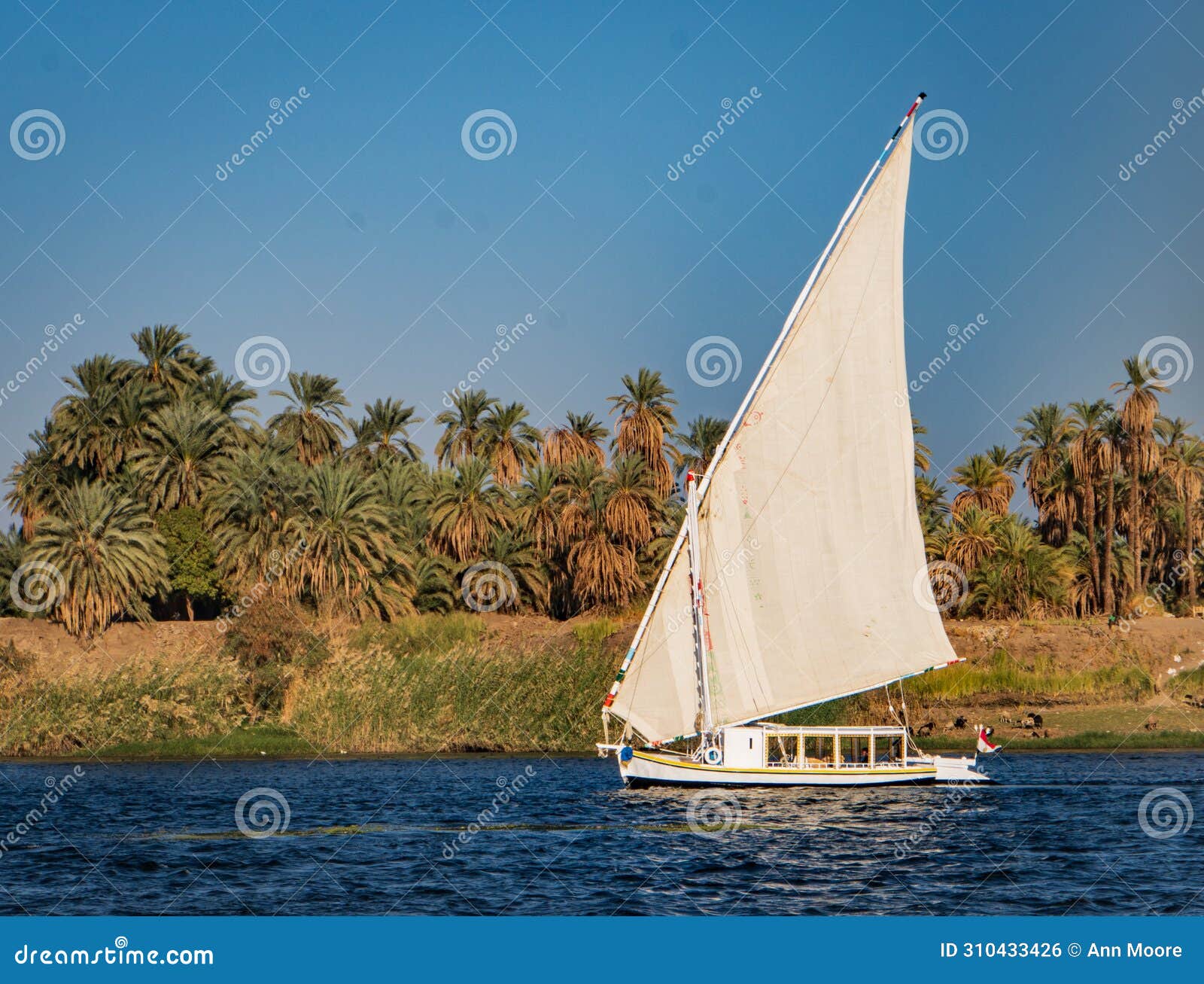 felucca sailboat along the nile river