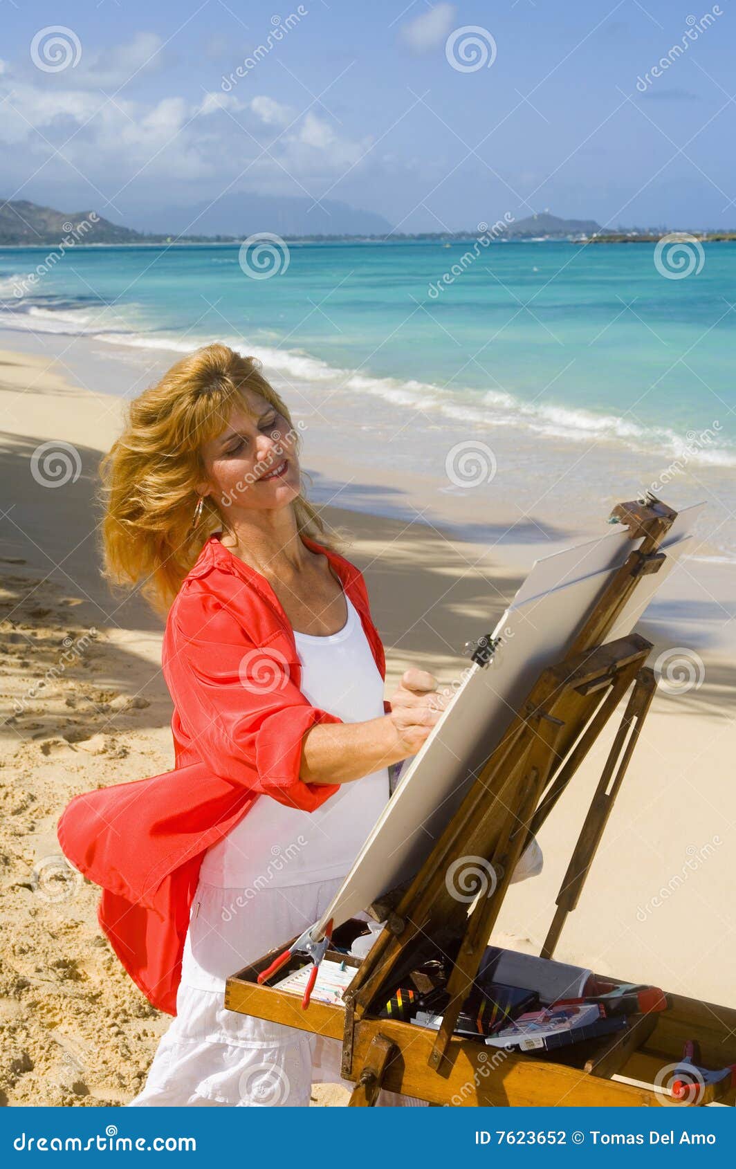 A Female Artist Painting On The Beach Stock Photo - Image of canvas