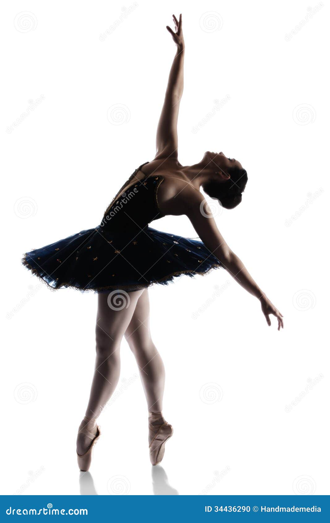    https://thumbs.dreamstime.com/z/female-ballet-dancer-silhouette-beautiful-isolated-white-background-ballerina-wearing-royal-blue-tutu-pointe-34436290.jpg   