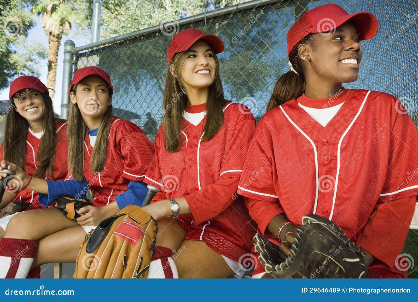 Female Baseball Players Sitting in a Row Stock Image Image of match, practice 29646489