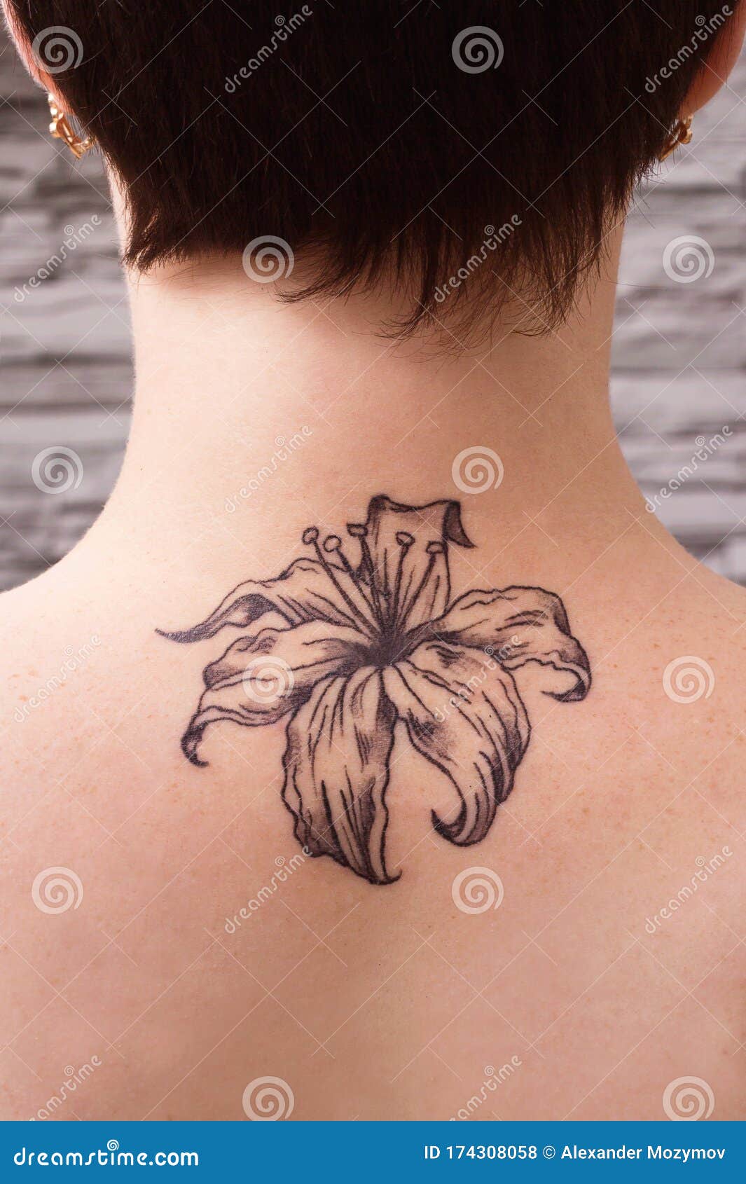 Female Black and White Tattoo Girl with a Pattern on the Body Stock Photo   Image of background body 174308058