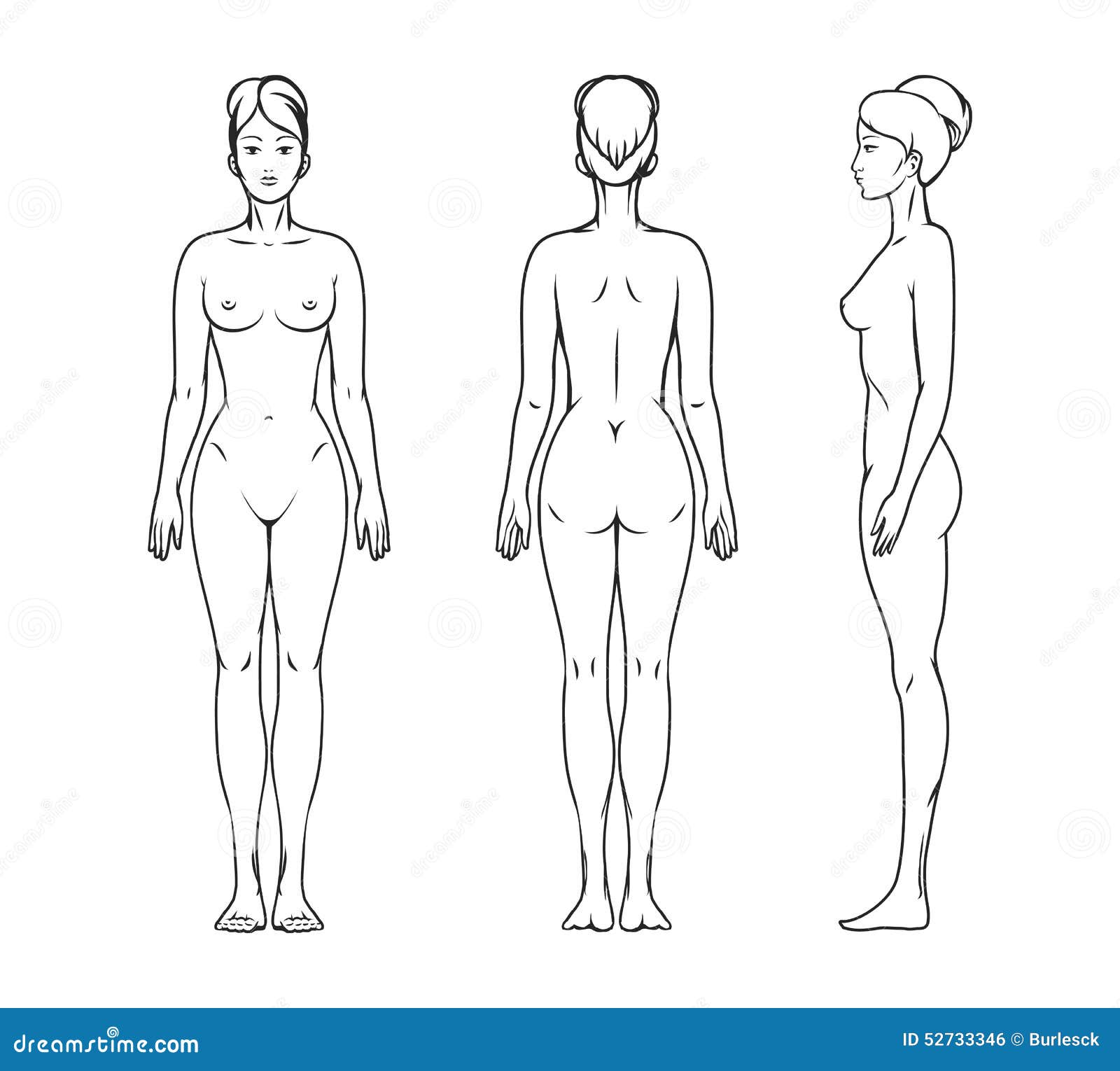 Woman Body Vector & Photo (Free Trial)