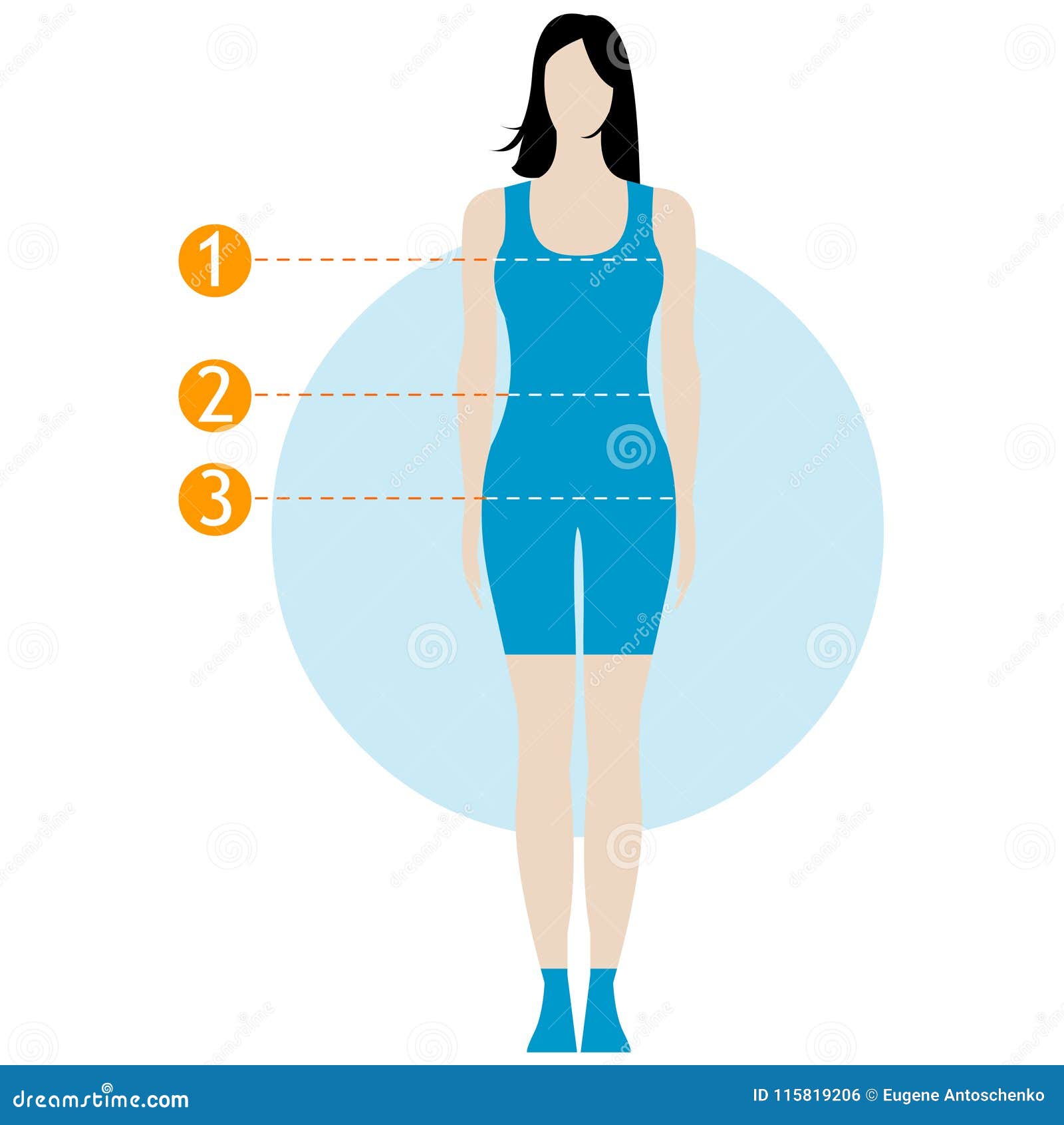 Female Body Measurement Chart. Figure of the Girl, Model in Underwear,  Swimwear Stock Illustration - Illustration of determine, infographic:  115819206