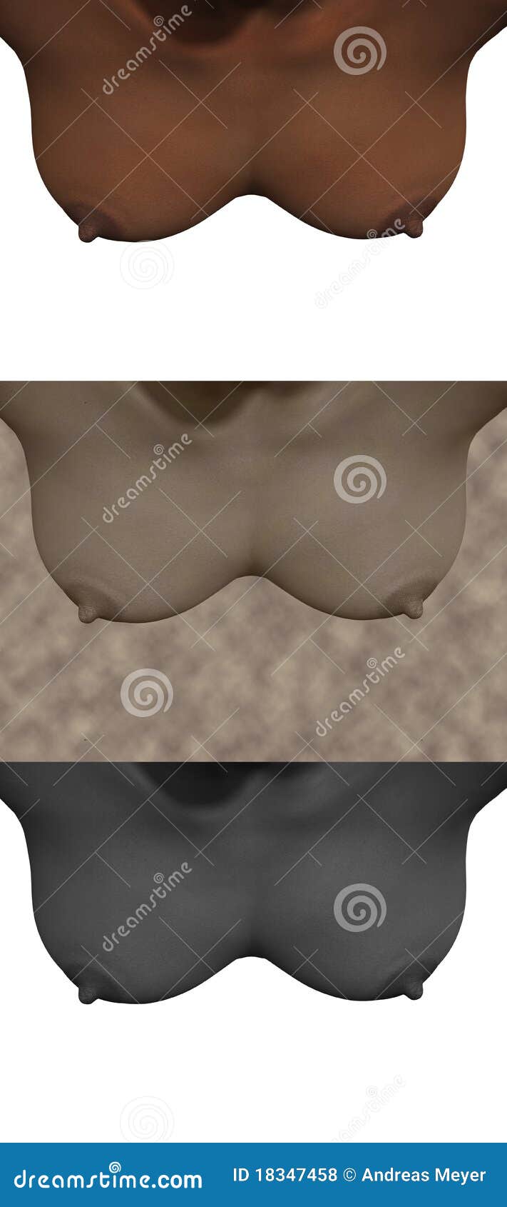 Female body part stock illustration. Illustration of stomach - 18347458