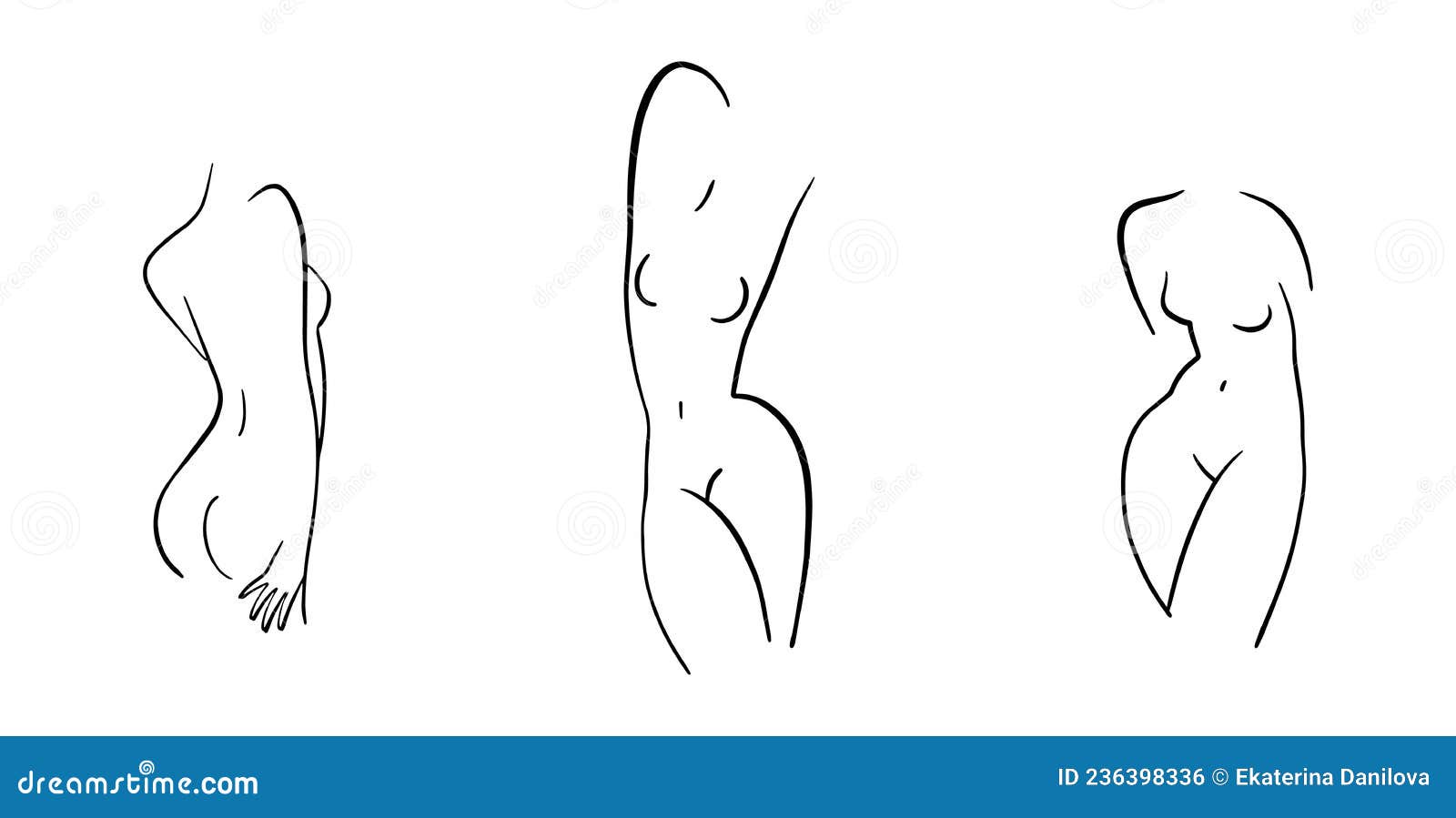 Female Body Sketch Line Drawing Of Beautiful Figure Stock Vector