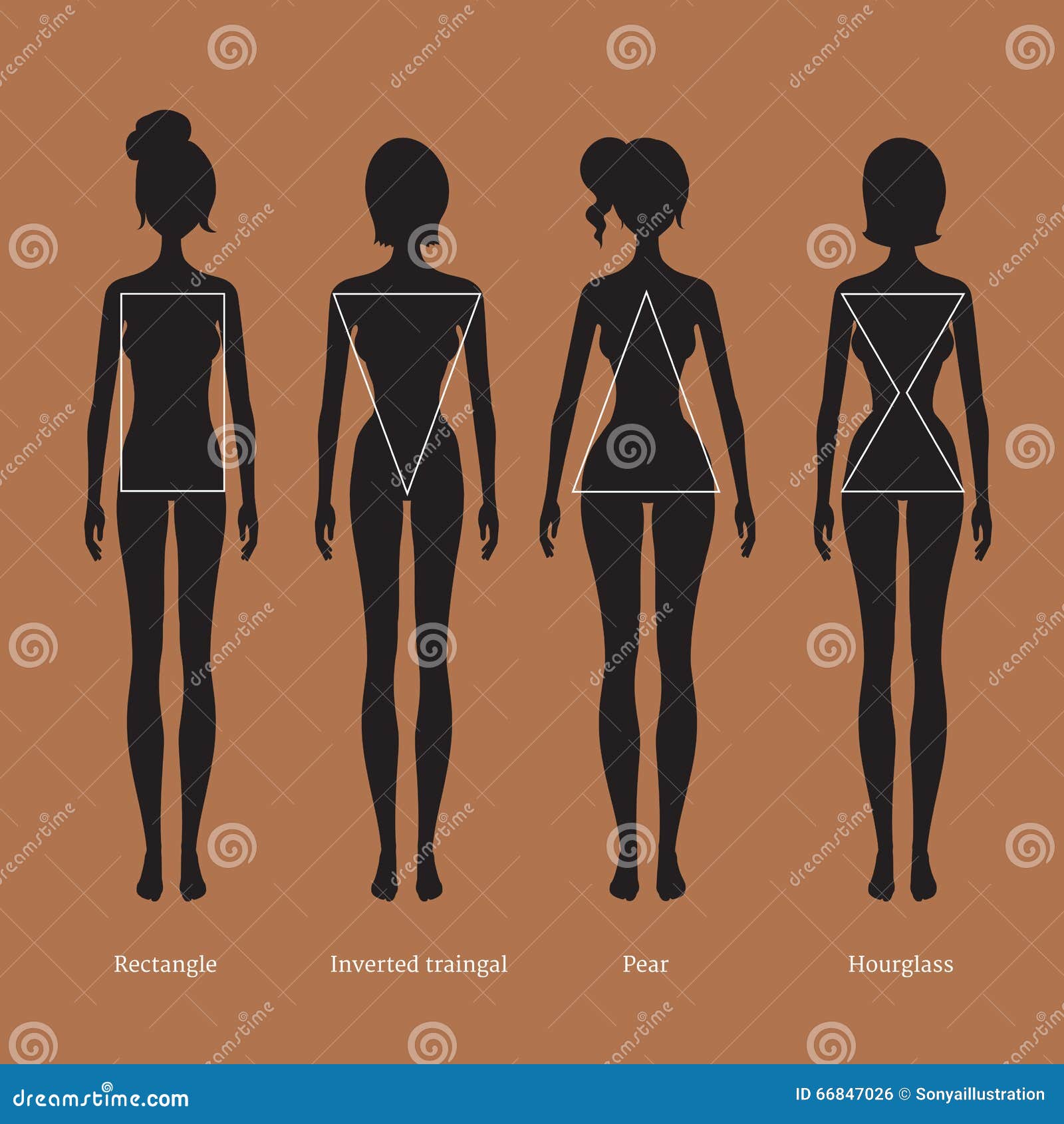 Body Types Women Stock Illustrations – 803 Body Types Women Stock