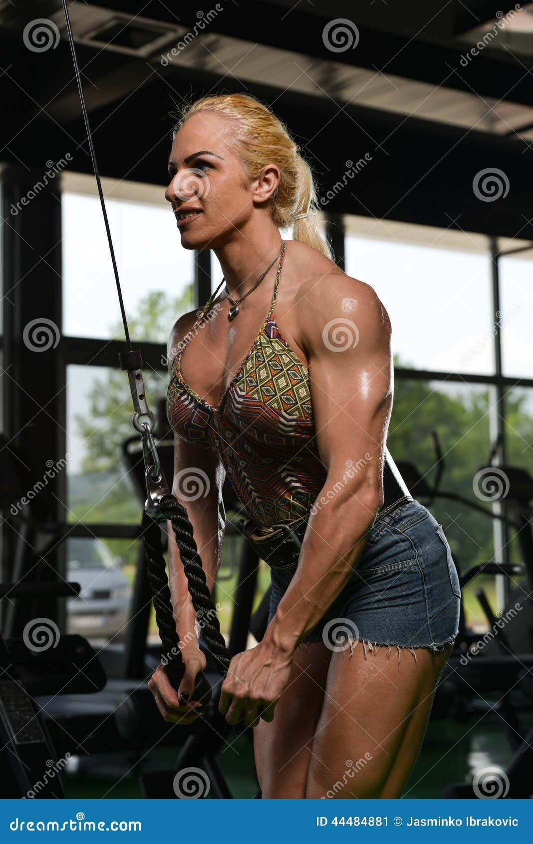 Female Bodybuilder Doing Heavy Weight Exercise for Triceps Stock Image -  Image of dramatic, abdominal: 44484881