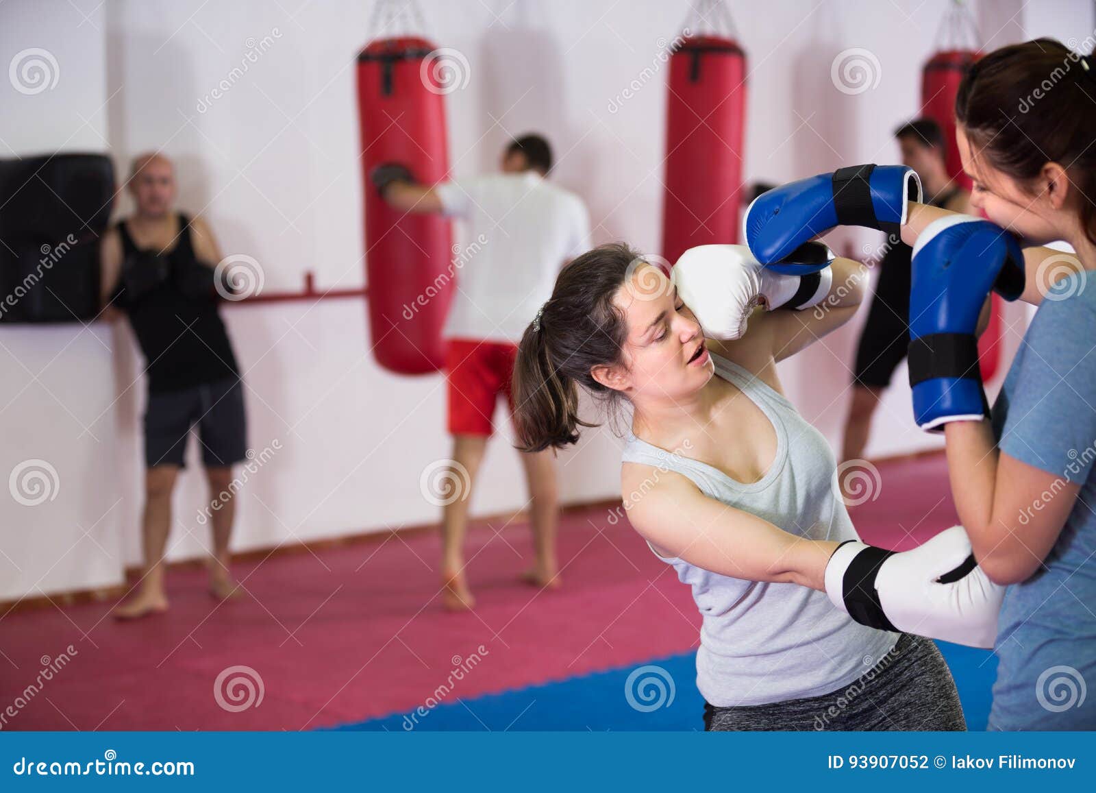 Female Boxer is Having Sparring with Partner Stock Photo Image of