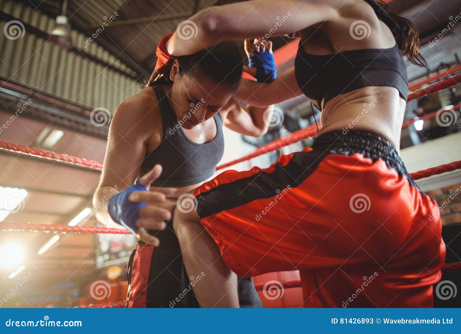 Female Boxers Fighting in Boxing Ring Stock Image Image of combat