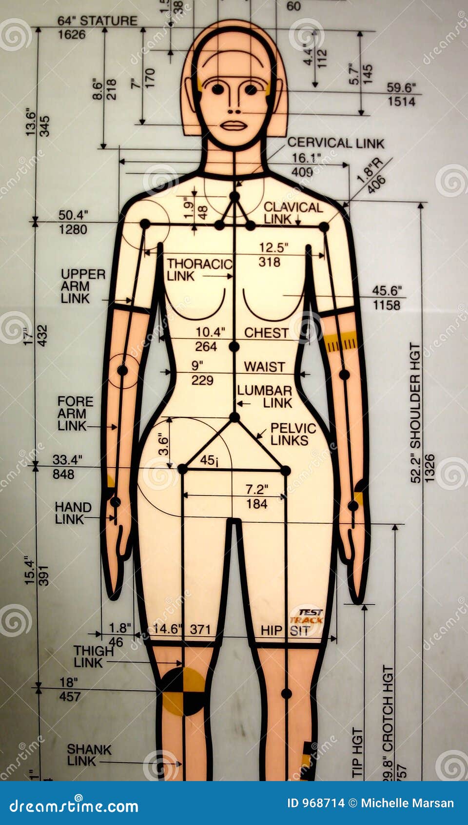 Female crash dummy stock photo. Image of caution, medical 968714