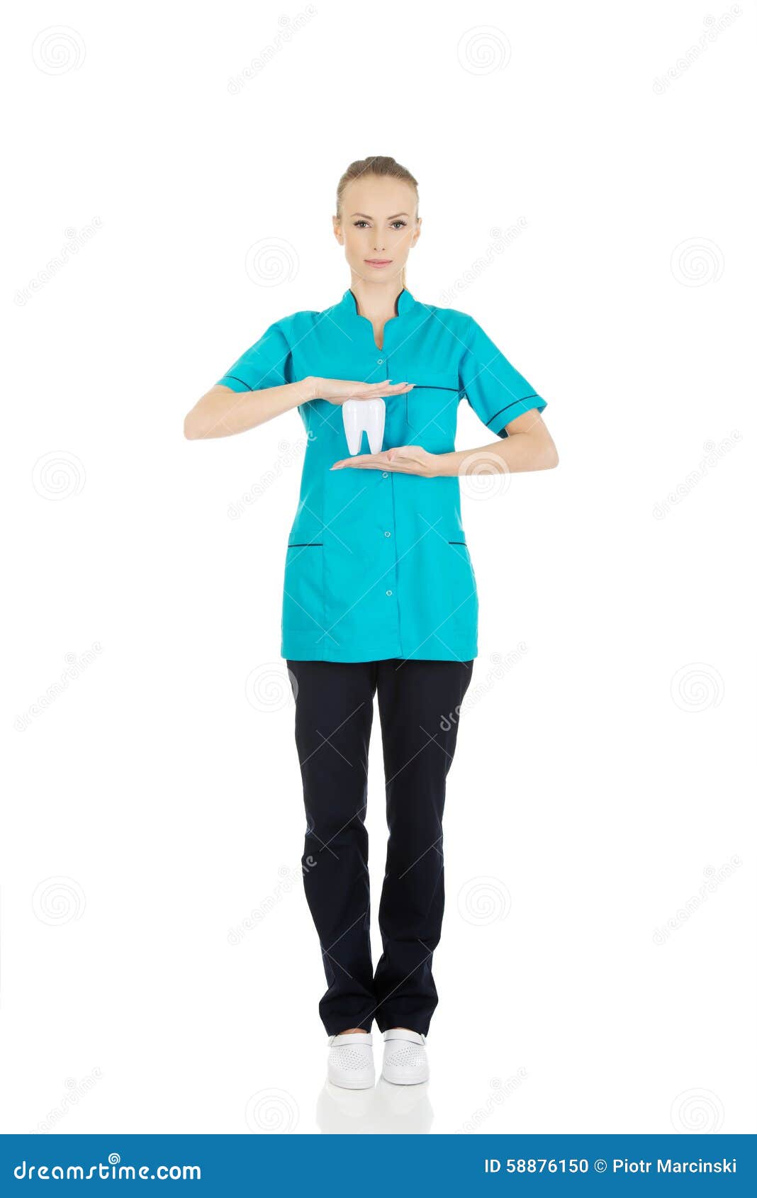 Female Dentist Holding a Tooth Model. Stock Photo Image of clinical