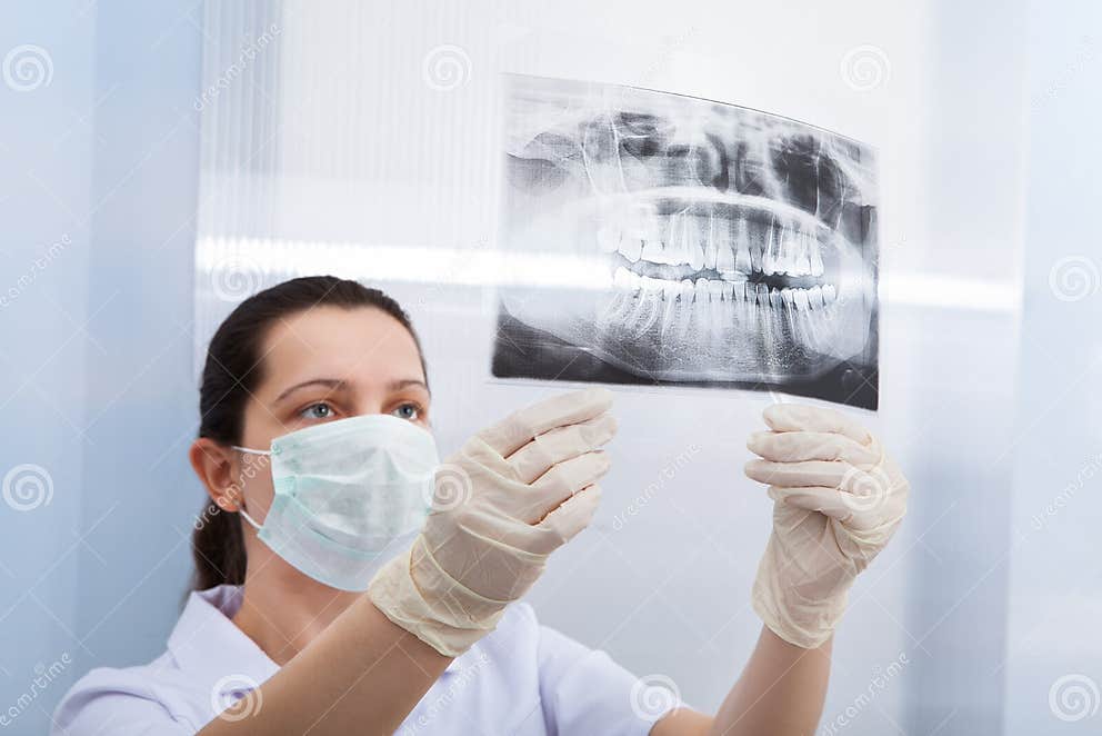 Female Dentist Looking at Dental Xray Stock Photo - Image of holding ...