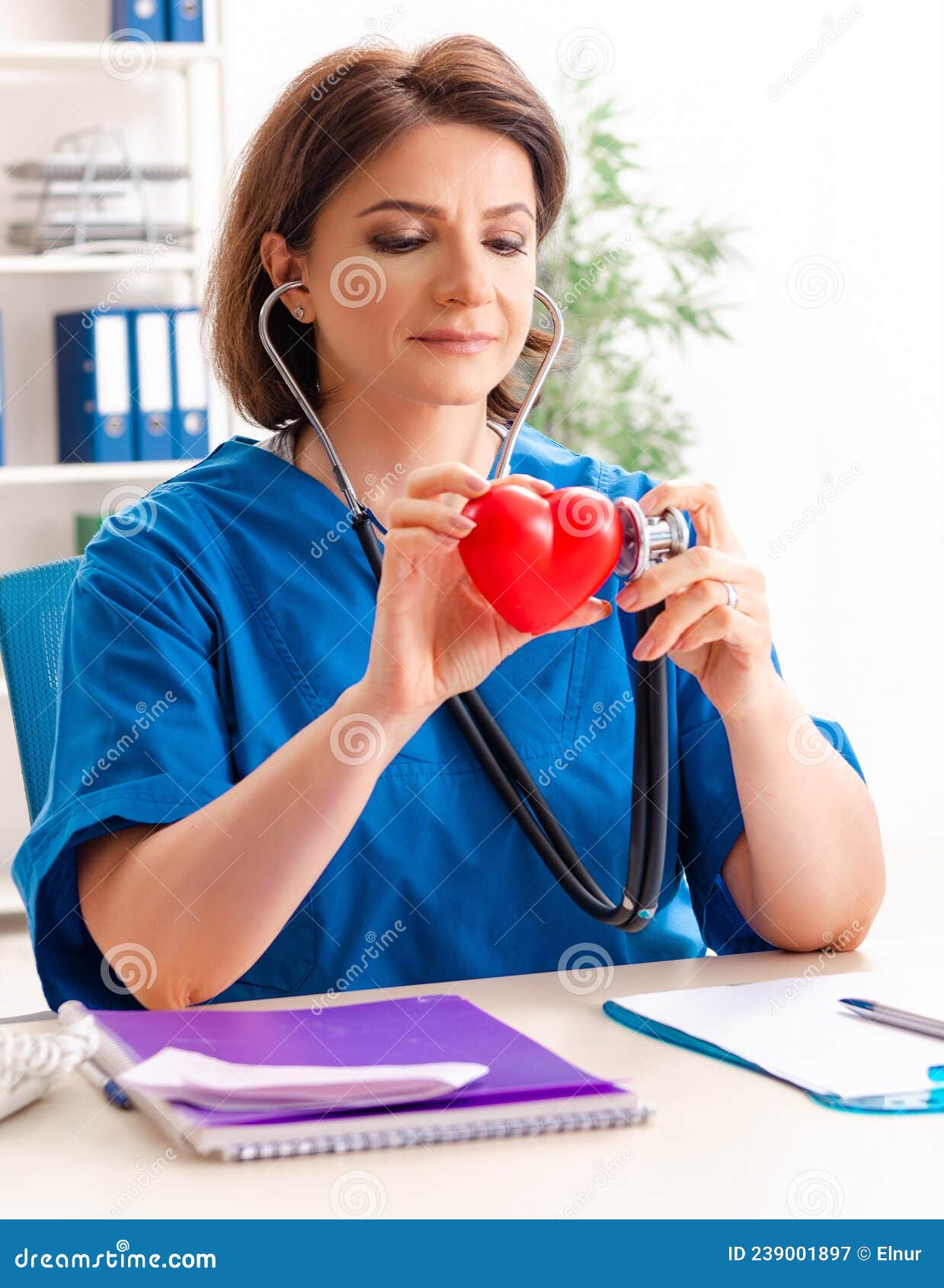 The Female Doctor Cardiologist Working in the Hospital Stock Image