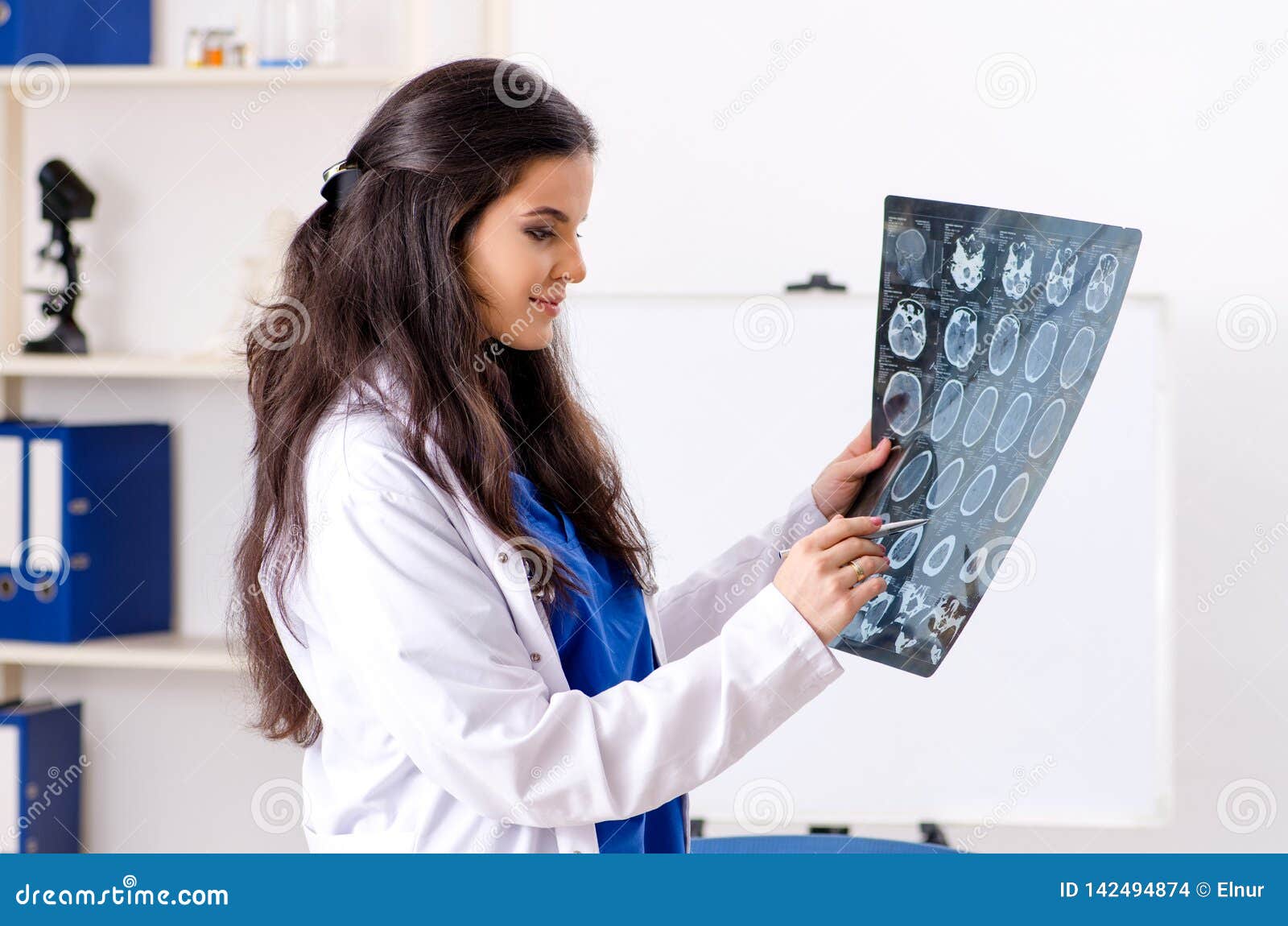 The Female Doctor Radiologist Working in the Clinic Stock Photo Image