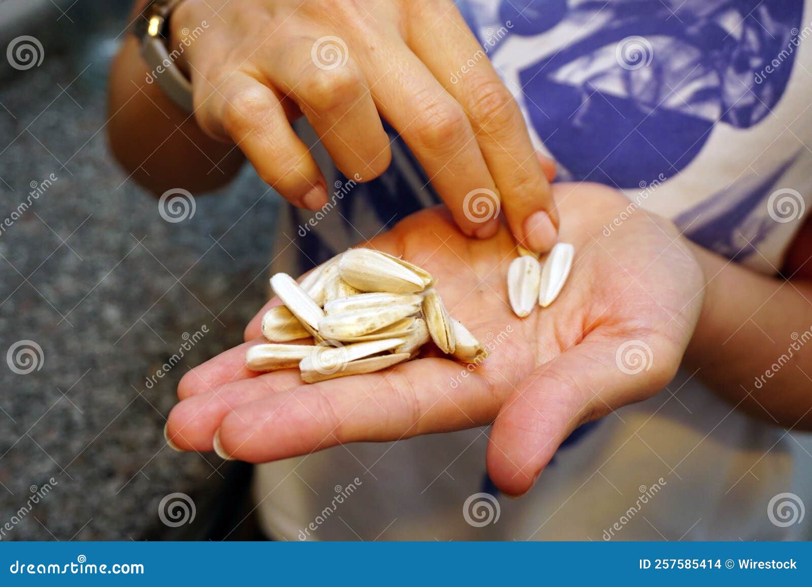 Female Eating Sunflower Seeds in Hand Stock Photo Image of ingredient