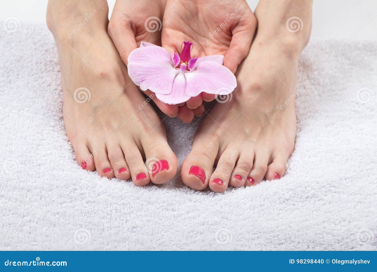 Female Elegance Feet Red Pedicure Nails Spa Therapy Stock Photo - Image ...