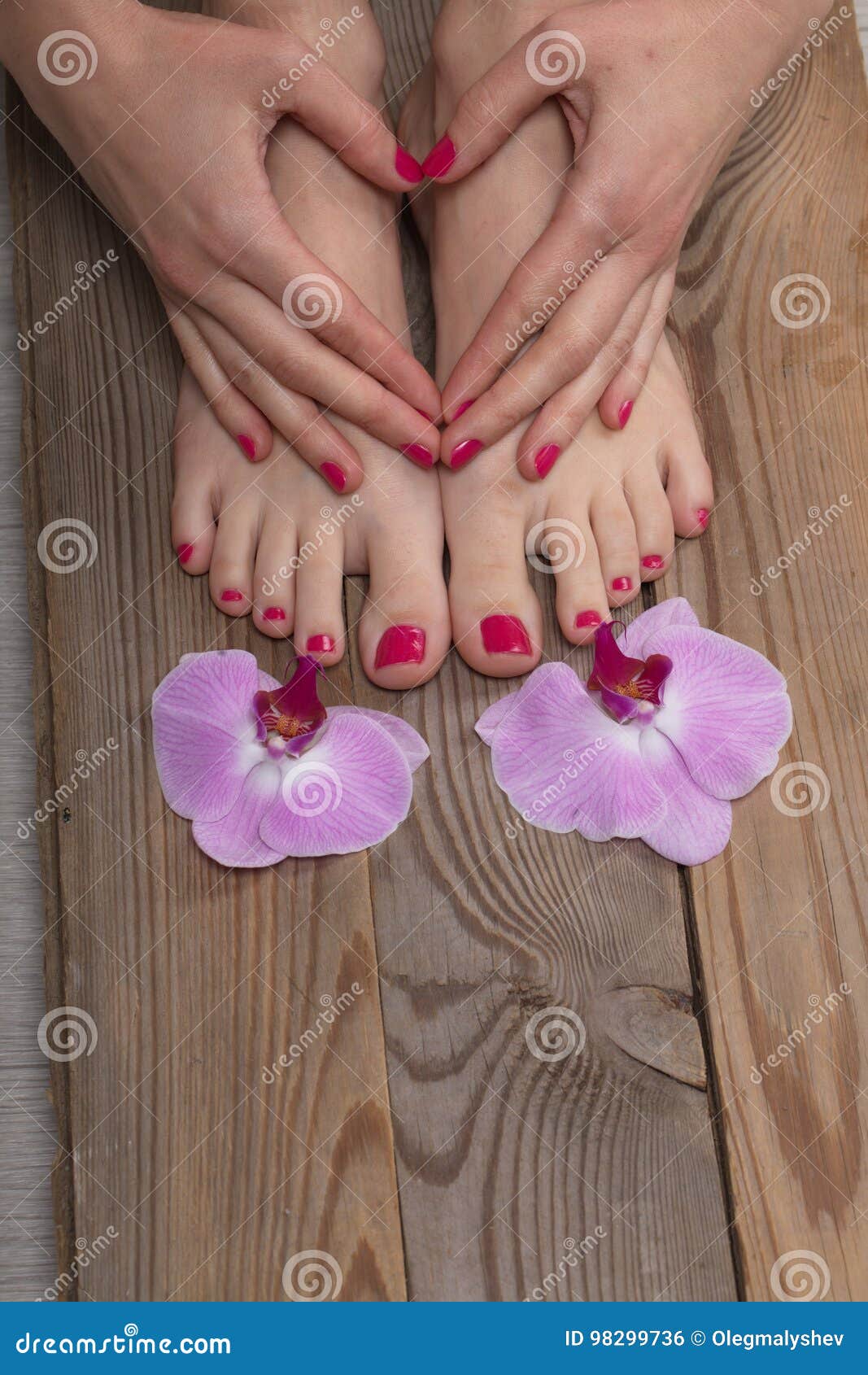 Female Elegance Feet Red Pedicure Nails Spa Therapy Stock Photo Image