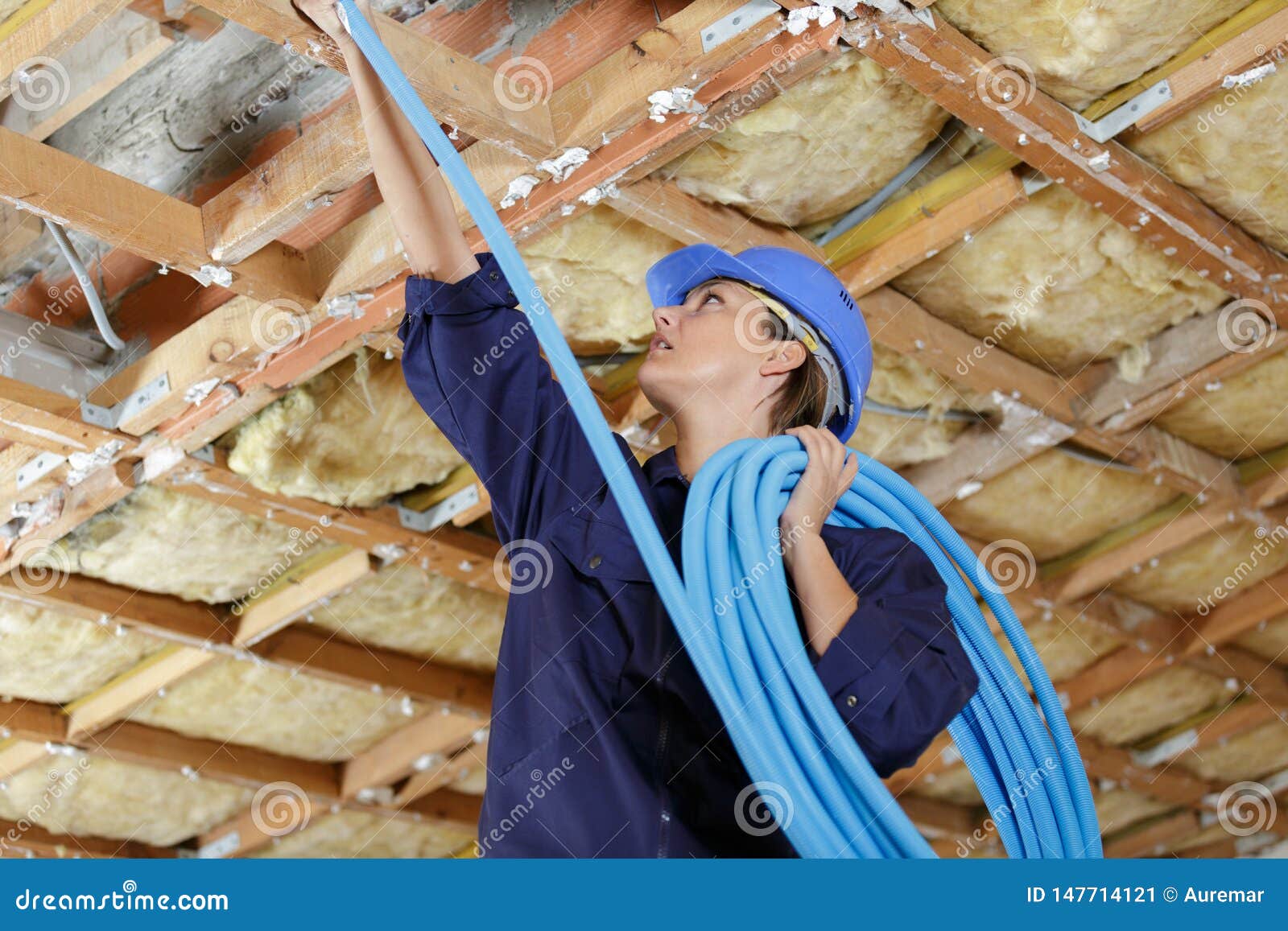 Female Engineer Working on Timber Structure Stock Image Image of