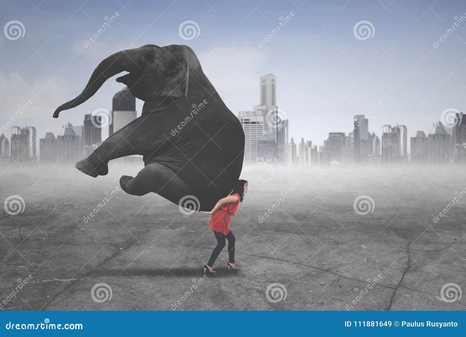 260 Elephant Leather Fashion Stock Photos - Free & Royalty-Free Stock  Photos from Dreamstime