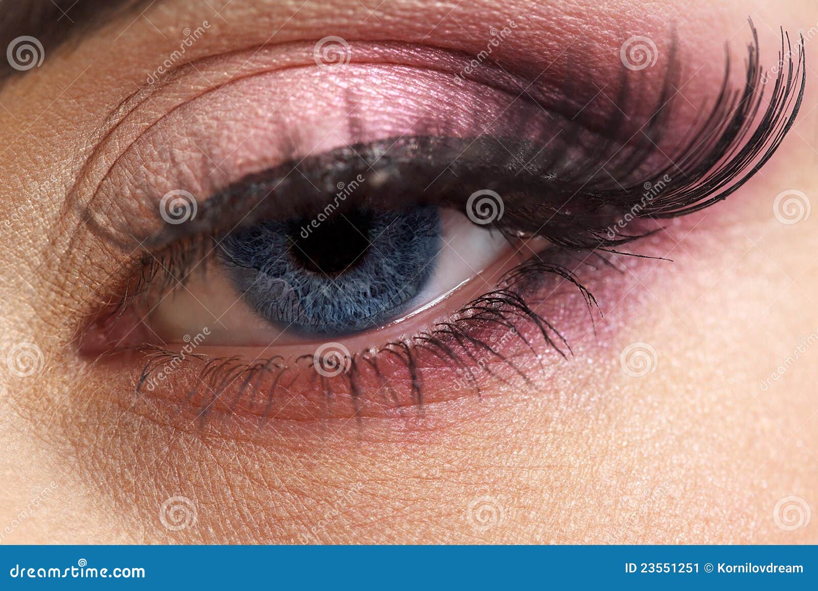  Female  eye  stock image Image of angle beauty creative 