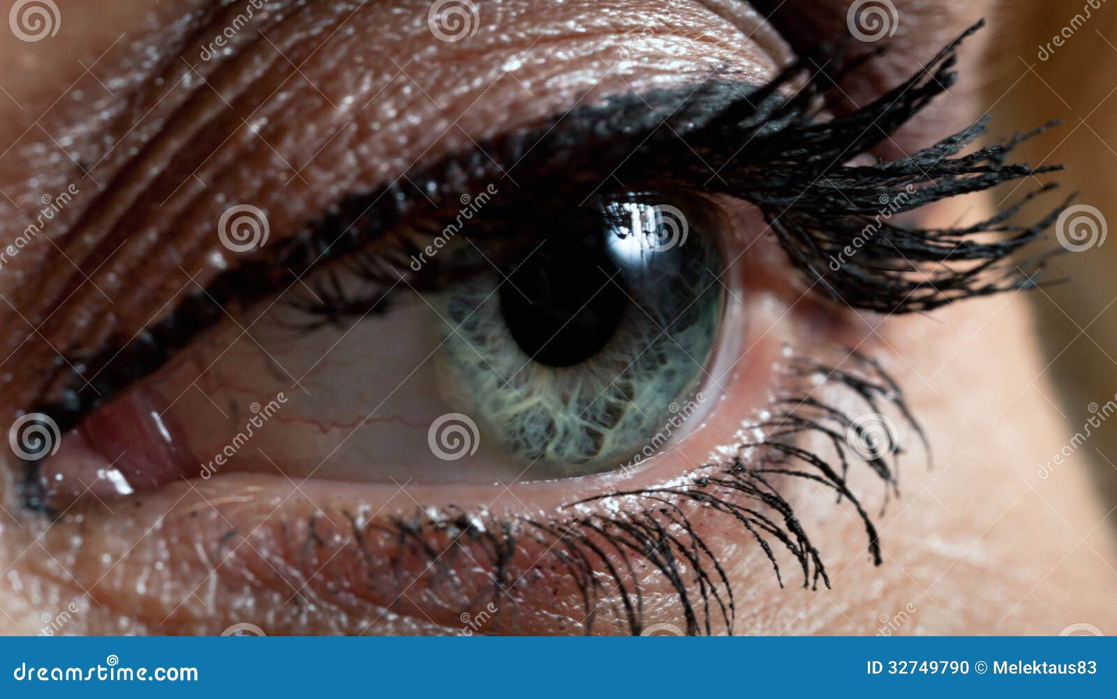 Female eye stock photo. Image of closeup, makeupcosmetics - 32749790