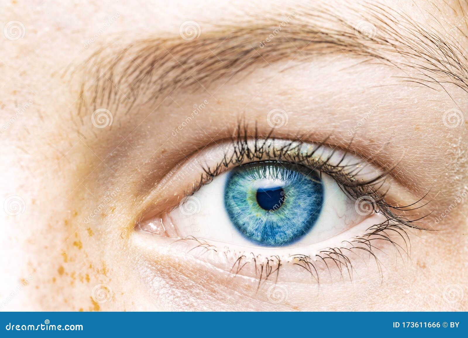 Female eye with blue iris stock photo. Image of blue - 173611666
