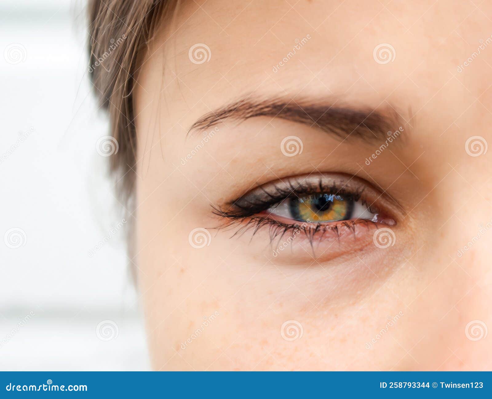 Female Eye Closeup. Looking into the Camera Stock Photo Image of