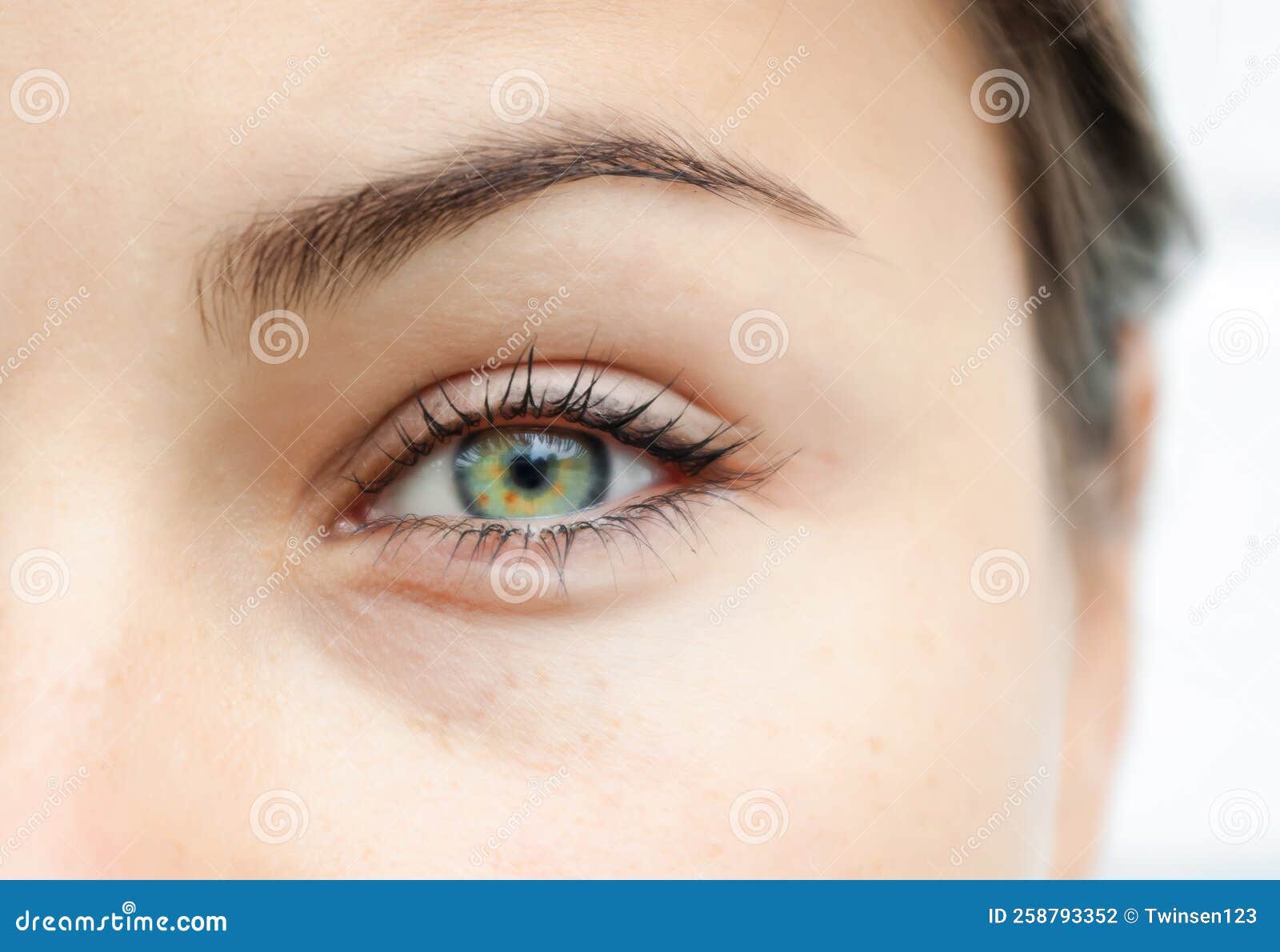 Female Eye Closeup. Looking into the Camera Stock Photo Image of