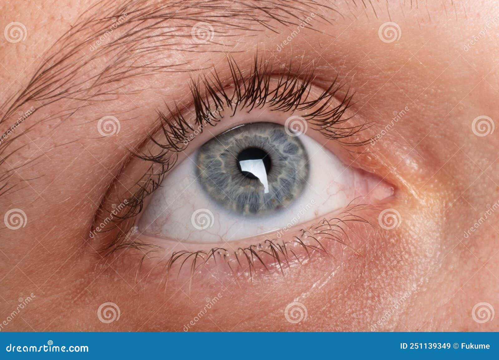 Female Eye Closeup, Vision Diagnostics Stock Image Image of beauty