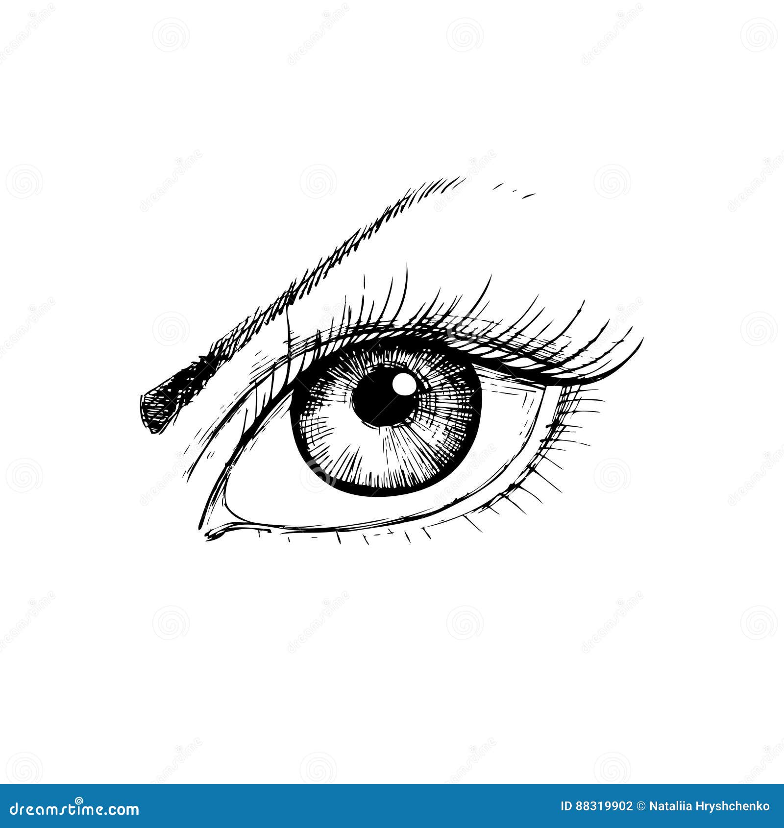 Female Eye with Hand Drawing Style Stock Vector Illustration of