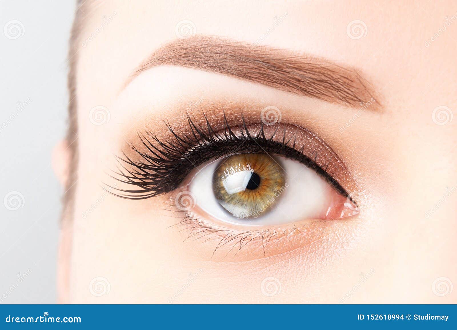 female eye with long eyelashes, beautiful makeup and light brown eyebrow close-up. eyelash extensions, lamination, microblading,