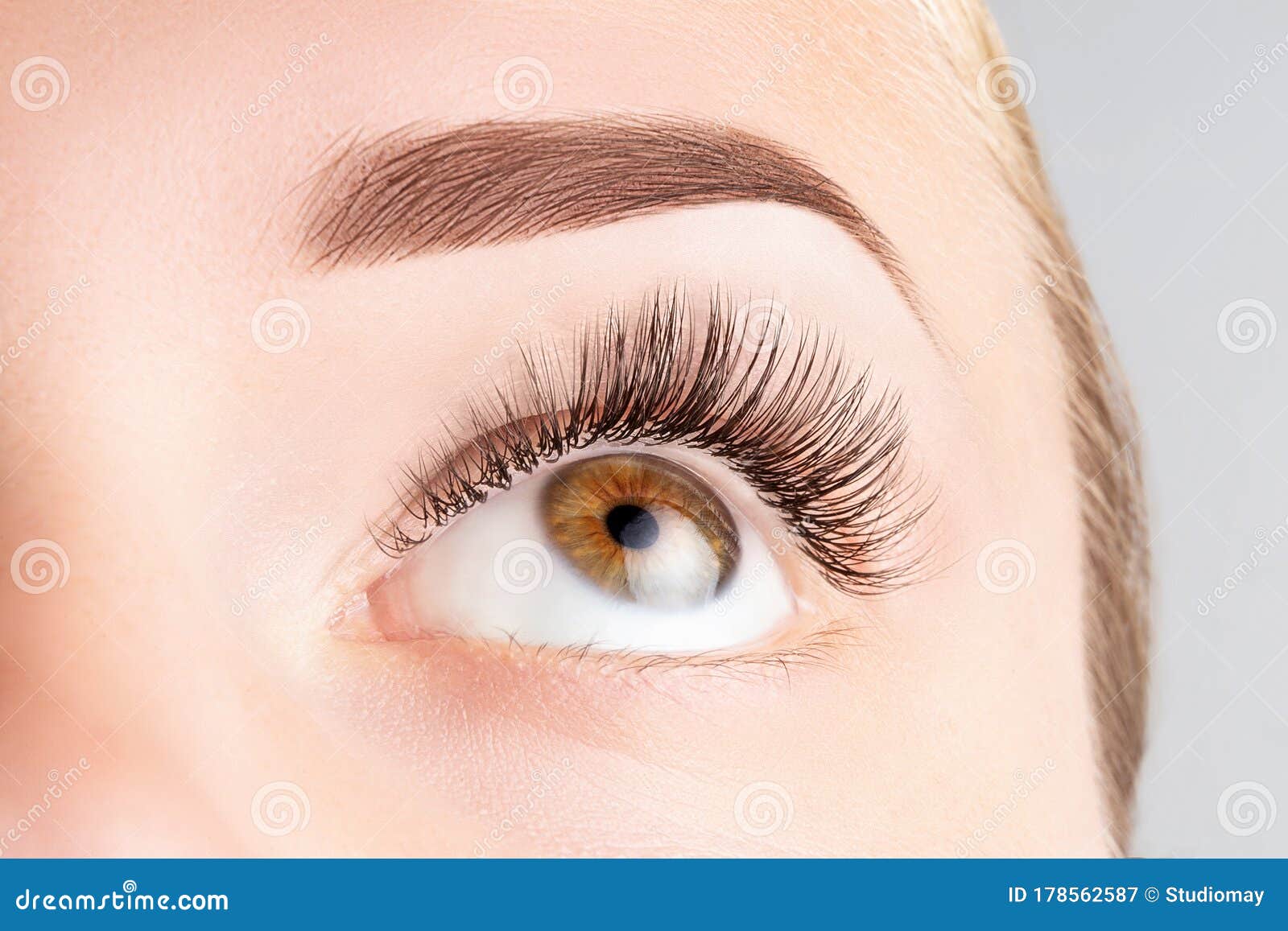 female eye with long eyelashes. classic 1d, 2d eyelash extensions and light brown eyebrow close up. eyelash extensions, lamination