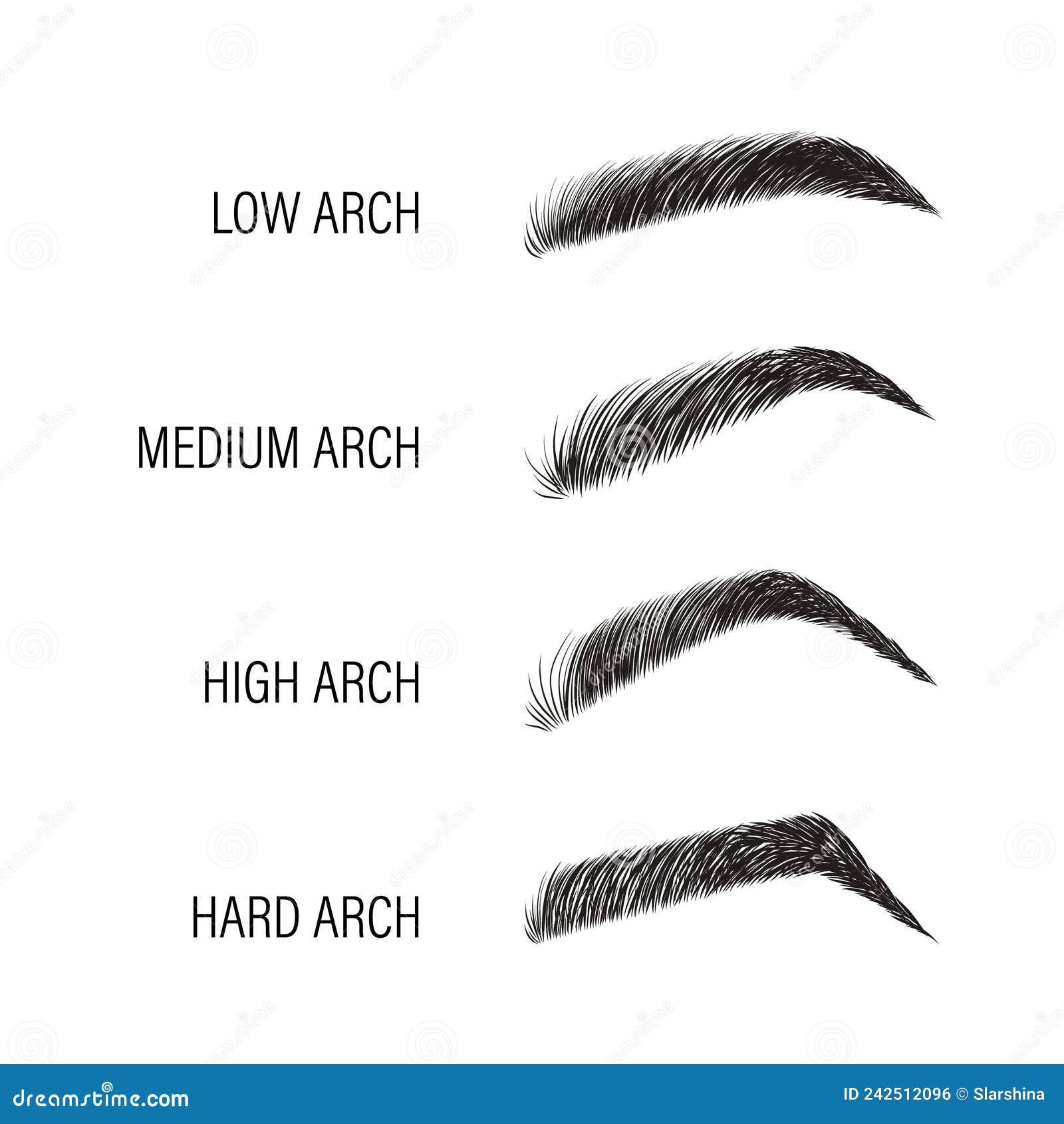 female eyebrows. various forms and types. arch brows s. linear   in trendy minimalist style. brow
