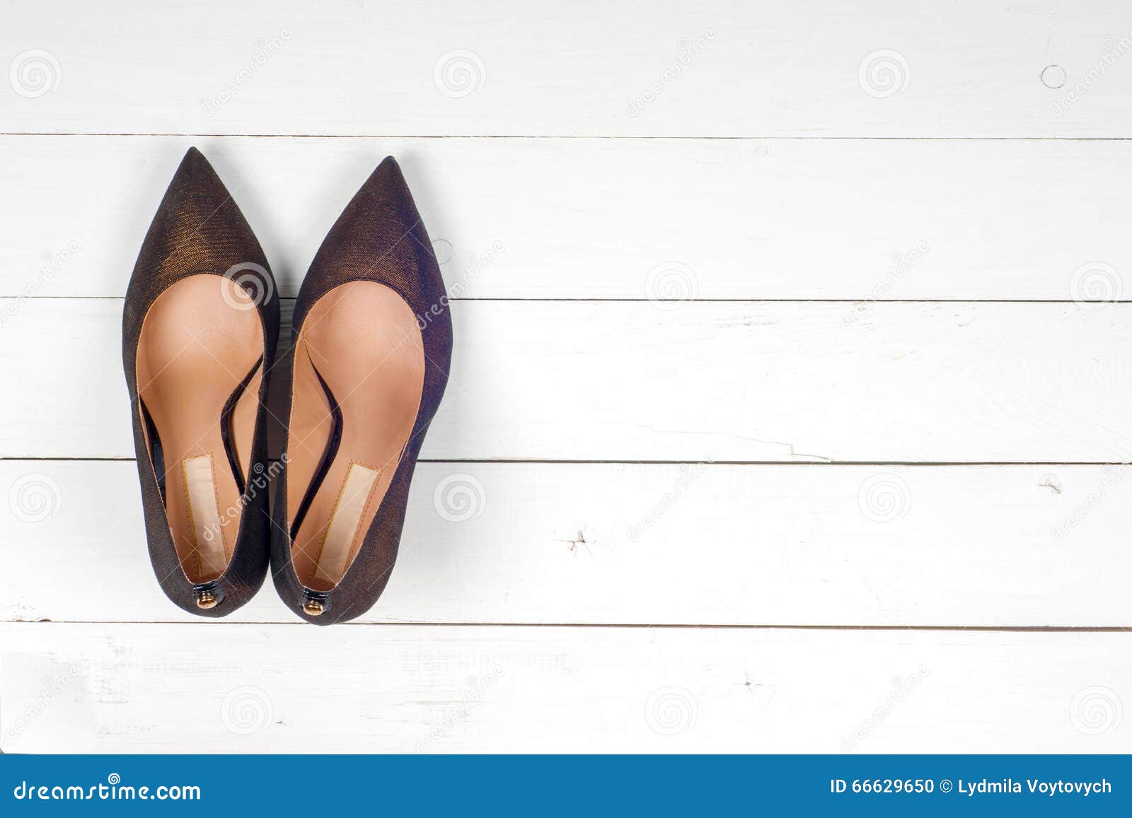 Female fashion with shoes stock photo. Image of shiny - 66629650