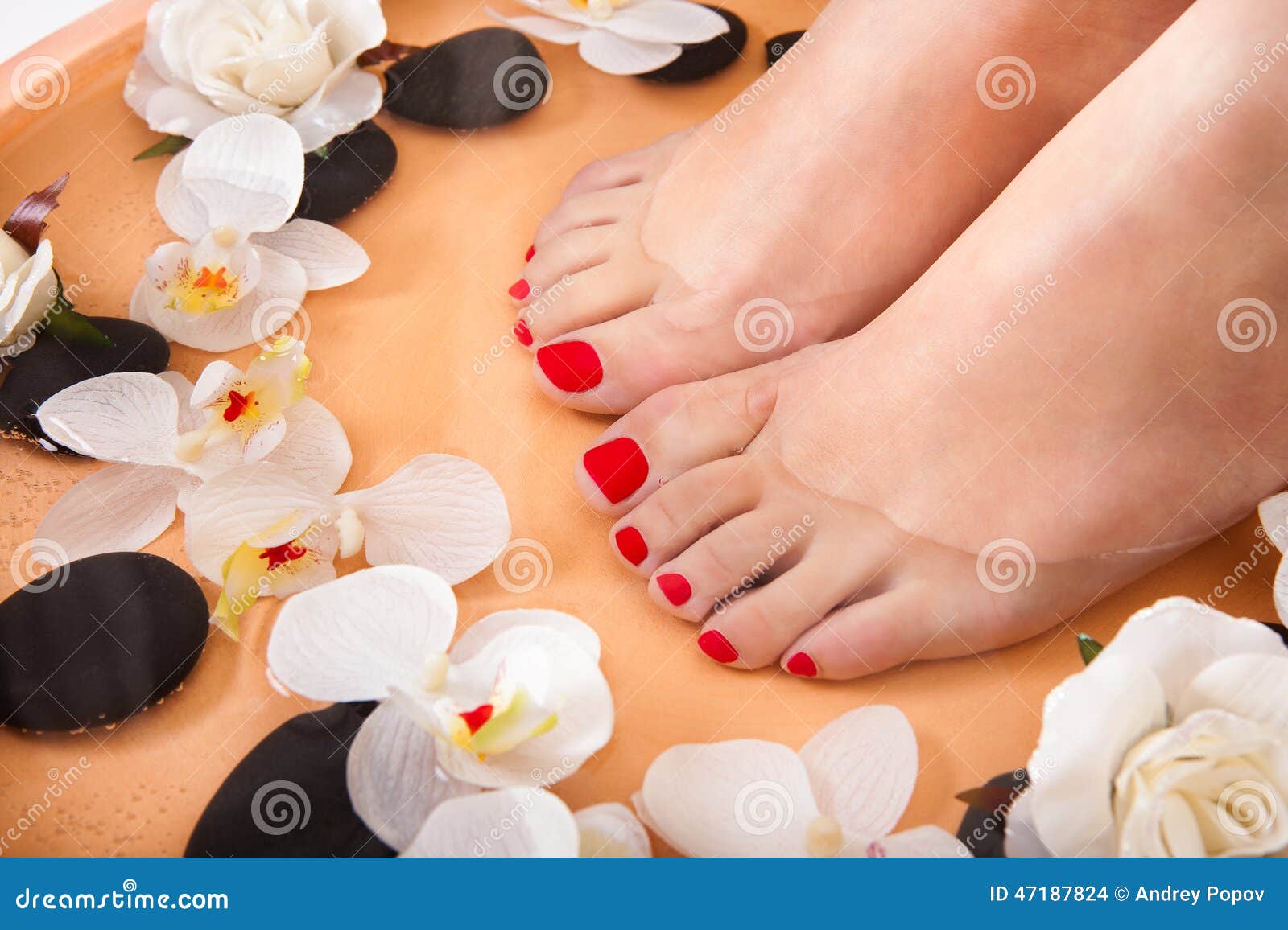 Female Feet Getting Aroma Therapy Stock Photo Image of alternative