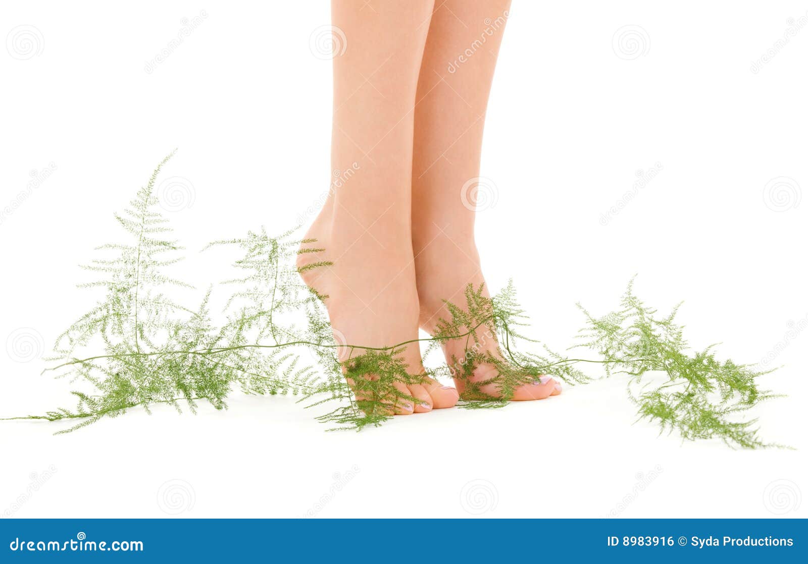 Female Feet with Green Plant Stock Photo Image of barefoot, fresh