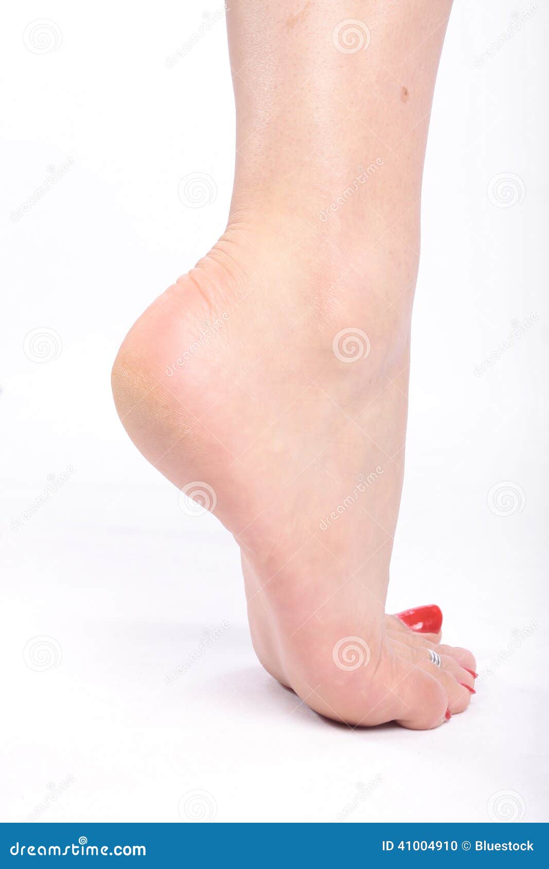 Female feet stock photo. Image of isolated, care, flowers - 41004910